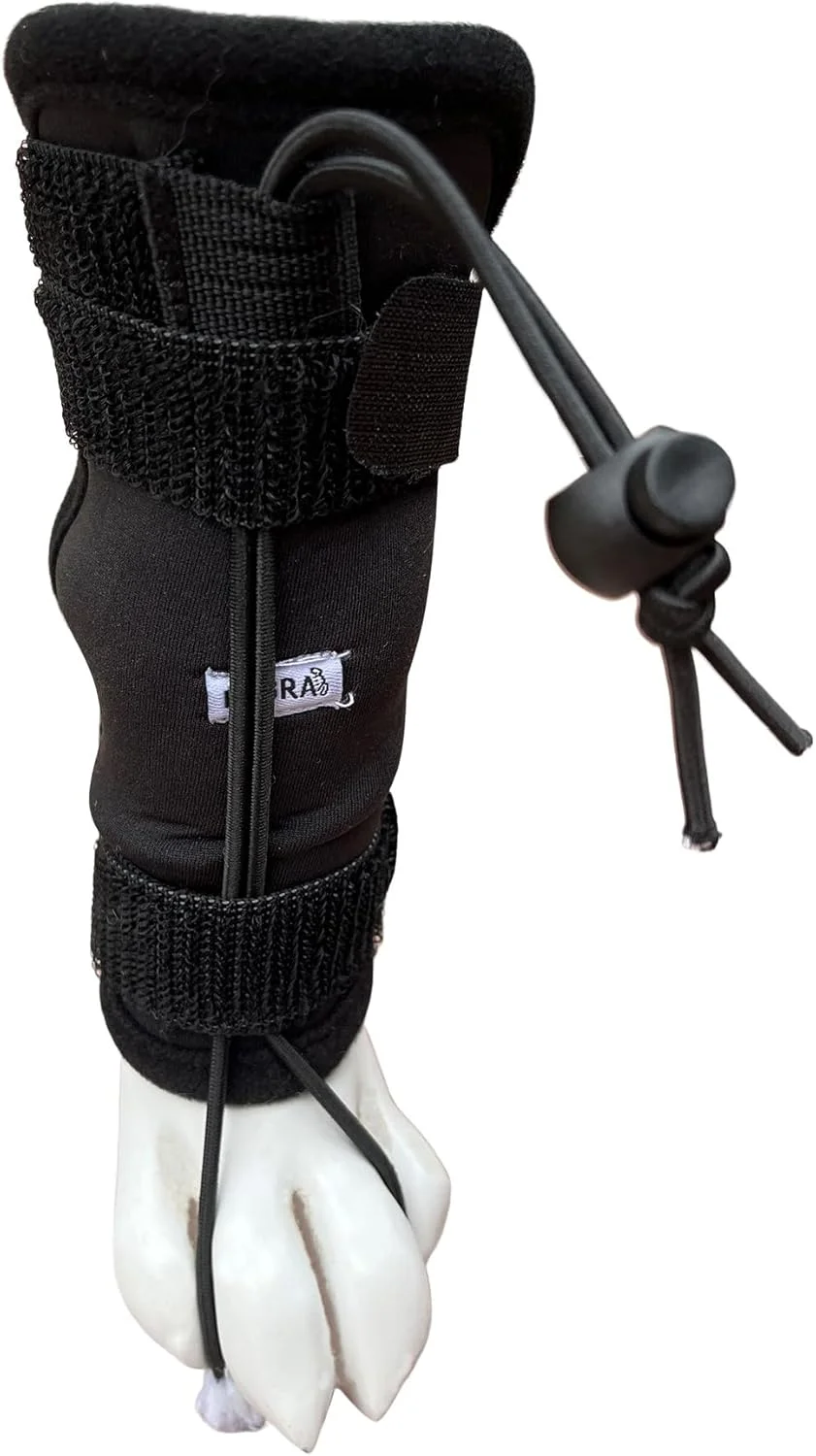 نگهدارنده و اصلاح کننده مفصل انگشتان پای جلویی سگ لابرادور (سایز S/M)