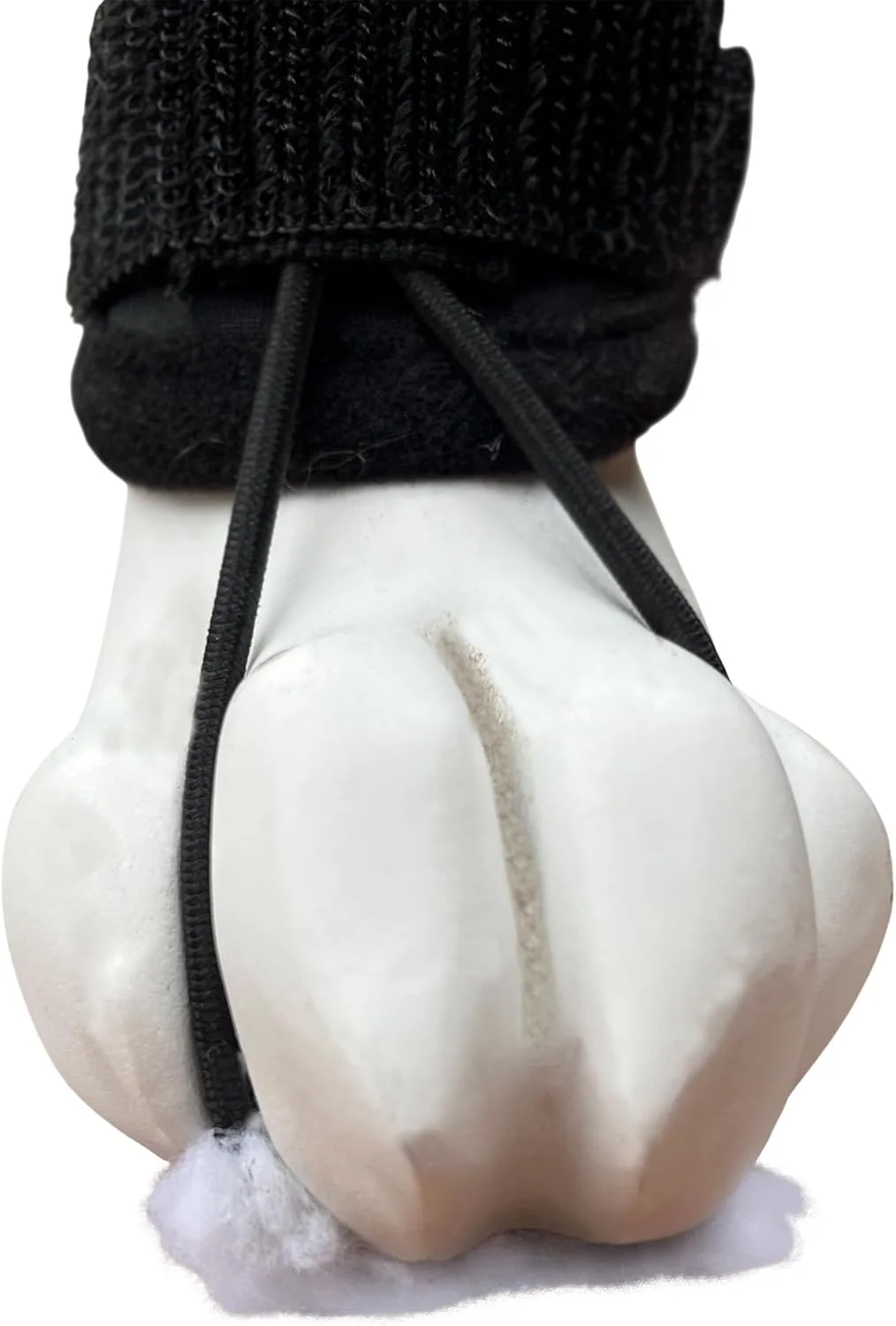 نگهدارنده و اصلاح کننده مفصل انگشتان پای جلویی سگ لابرادور (سایز S/M) نگهدارنده و اصلاح کننده مفصل انگشتان پای جلویی سگ لابرادور (سایز S/M)