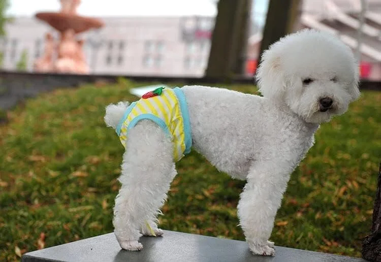 پوشک سگ ماده راه راه قابل شستشو و استفاده مجدد KUTKUT | شورت بهداشتی پوششی قابل استفاده مجدد برای سگ های ماده کوچک در فصل گرما (سایز: L، دور کمر: 35 سانتی متر - 45 سانتی متر)