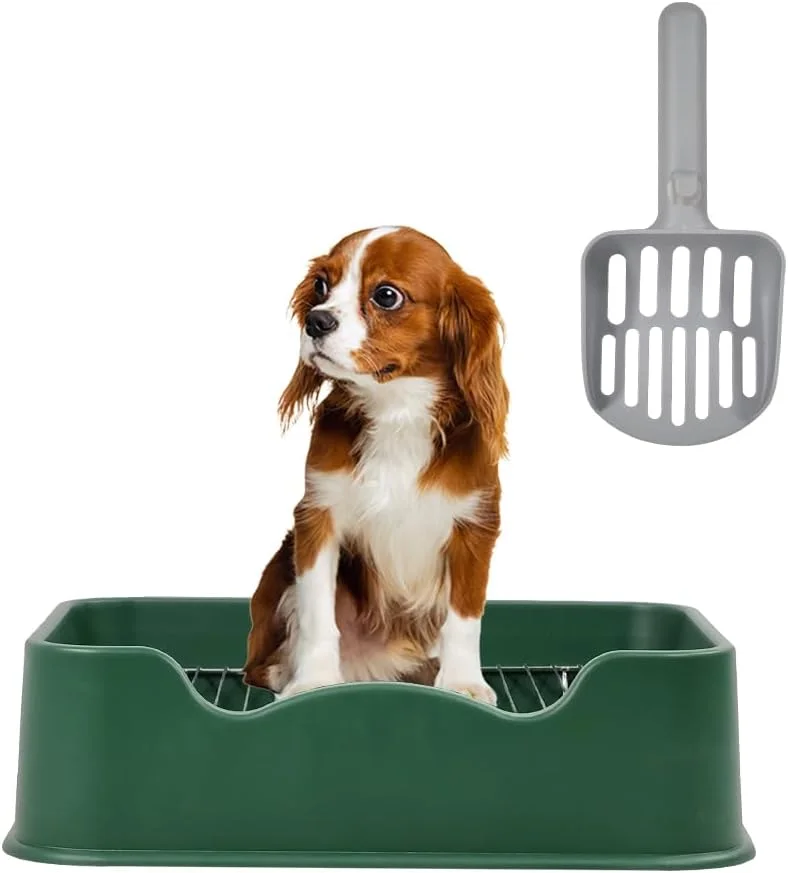 توالت آموزشی سگ کتز کینگ با بیلچه، توری استیل ضد زنگ و پد ضد لغزش، توالت ضد نشت حیوانات خانگی برای سگ های کوچک و متوسط، مناسب برای داخل و خارج از منزل 52 سانتی متر (سبز)