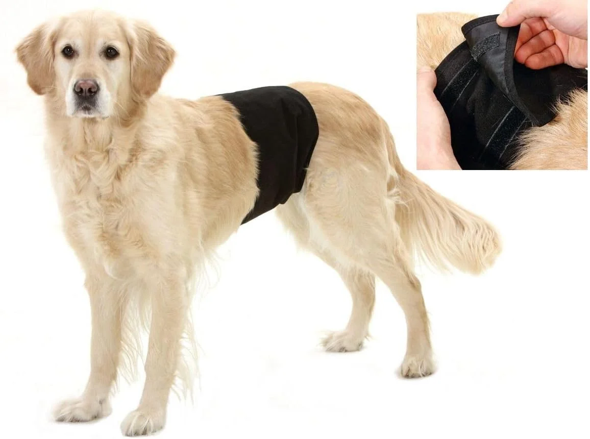 شلوار سگ نر کارلی فلامینگو مدل جنتلمن رپ 59X20 سانتی متر