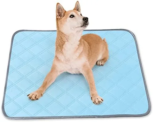 پدهای ادرار قابل استفاده مجدد Kalevel برای سگ های کوچک، گربه ها، خرگوش ها و خوکچه های هندی، قابل شستشو، ضد آب، ضد لغزش، فوق العاده جاذب پدهای ادرار قابل استفاده مجدد Kalevel برای سگ های کوچک، گربه ها، خرگوش ها و خوکچه های هندی، قابل شستشو، ضد آب، ضد لغزش، فوق العاده جاذب