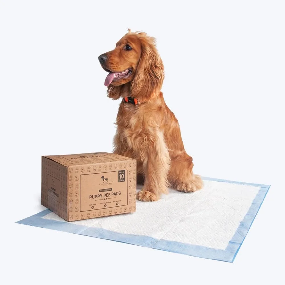 پدهای ادرار سگ HUFT Essentials - بسته 10 عددی پدهای ادرار سگ HUFT Essentials - بسته 10 عددی