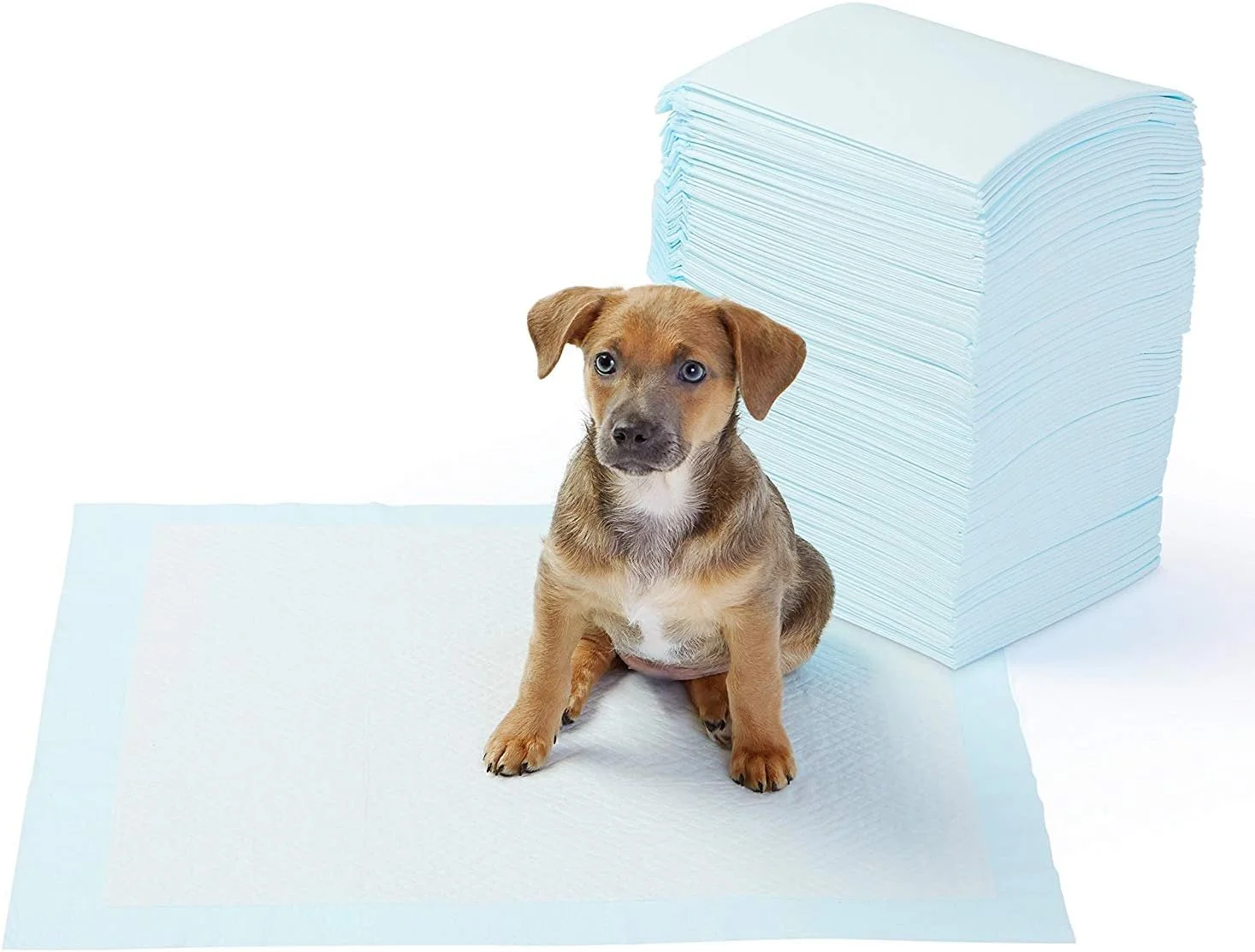 پدهای جاذب آموزش ادرار و مدفوع سگ و توله سگ Foodie Puppies (45cm x 60cm، 50 عدد)
