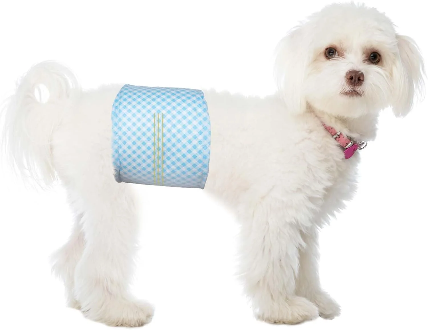 پوشک سگ نر Flying Paws، بسته 20 عددی، پوشک های فوق العاده جاذب سگ، پوشک های کوچک قابل تنظیم برای سگ های نر، شلوار بی اختیاری ادرار توله سگ با نشانگر رطوبت، S