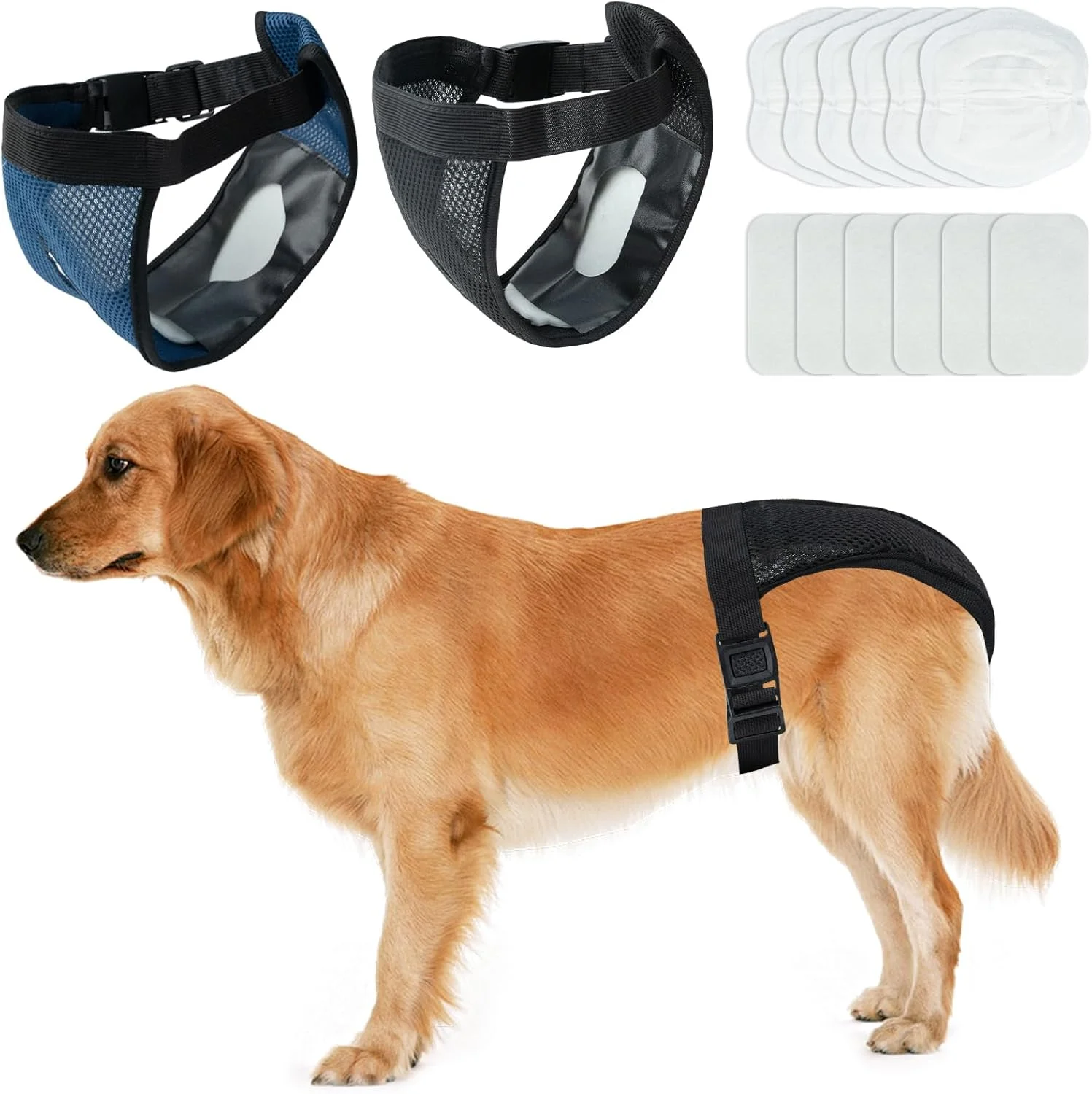 بسته 2 عددی پوشک سگ قابل استفاده مجدد DRERIO