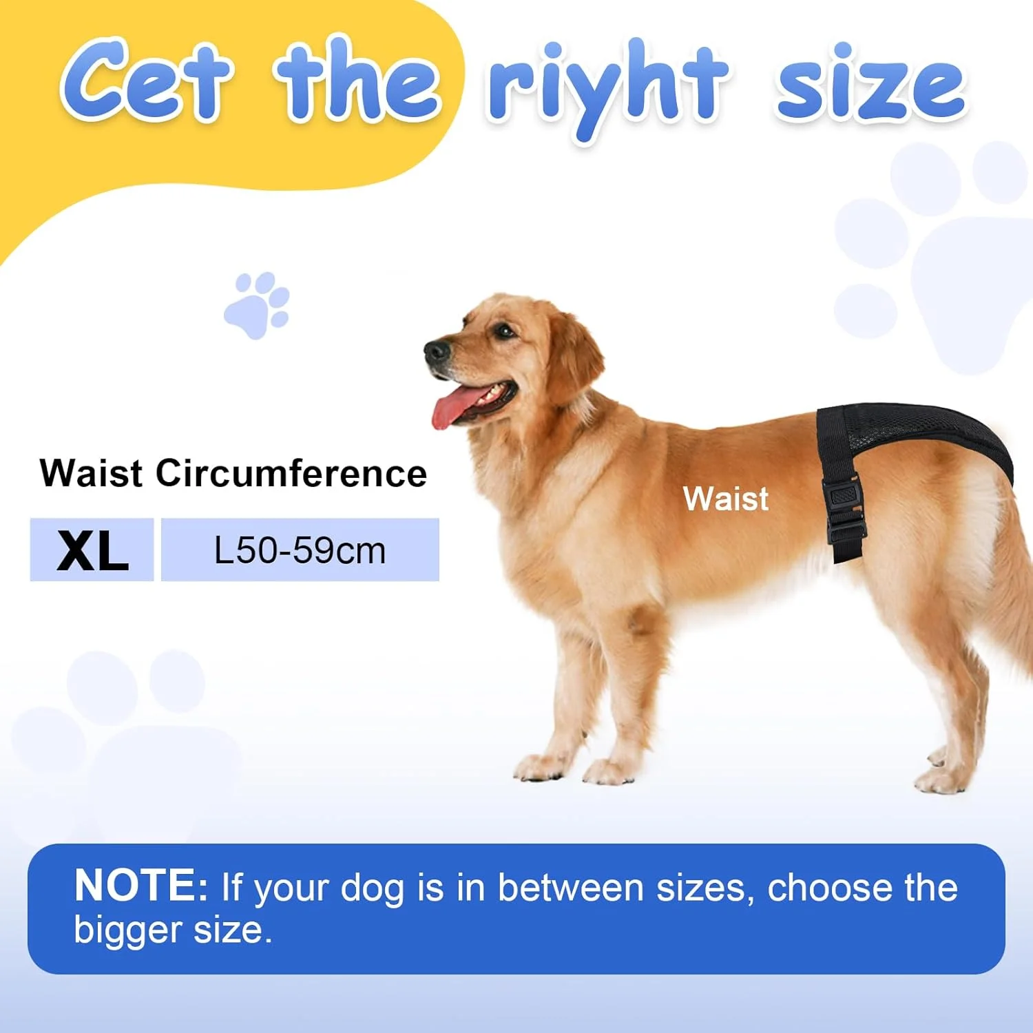 بسته 2 عددی پوشک سگ قابل استفاده مجدد DRERIO