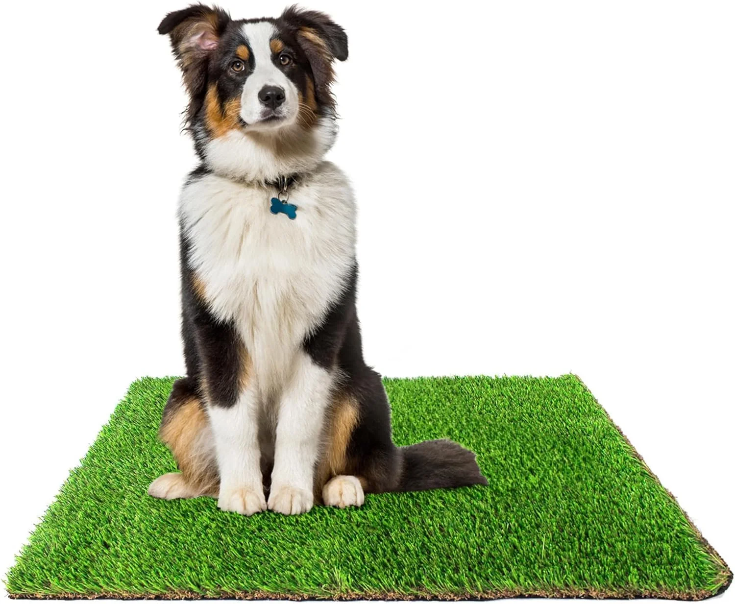 چمن دستشویی سگ Downtown Pet Supply - لوازم آموزش ادرار سگ و توله سگ - جایگزین پد دستشویی سگ - پدهای چمن مصنوعی قابل شستشو برای ادرار سگ - 50 در 75 سانتی متر (فقط حصیر چمن)