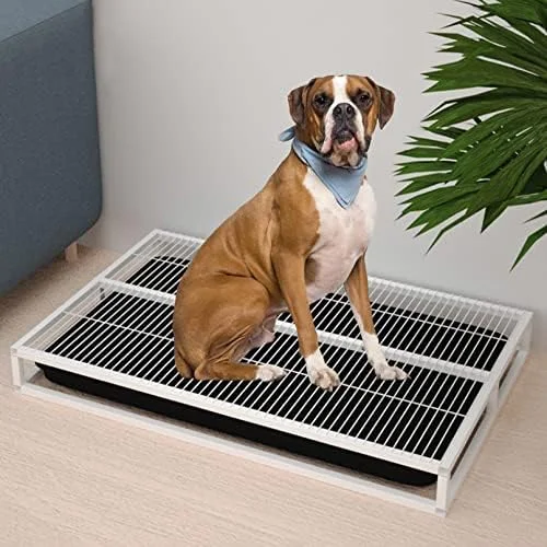 نگهدارنده پد ادرار سگ - سینی آموزش بادوام داخلی/خارجی برای توله سگ ها و سگ ها، ایده آل برای آموزش دستشویی، استفاده از جعبه بستر در آپارتمان ها، بالکن ها و حمام ها (62x45x8 سانتی متر، سفید)