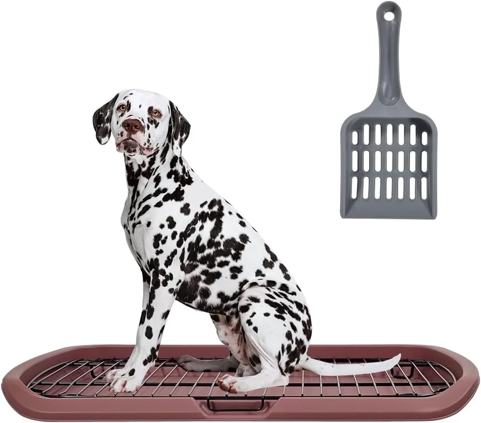 سینی توالت سگ خانگی | توالت آموزش ادرار توله سگ با نگهدارنده پد | سینی ادرار سگ با طراحی برجسته | بیلچه و توری استیل ضد زنگ جداشدنی | تمیز کردن آسان (شکلاتی، 65 سانتی متر)