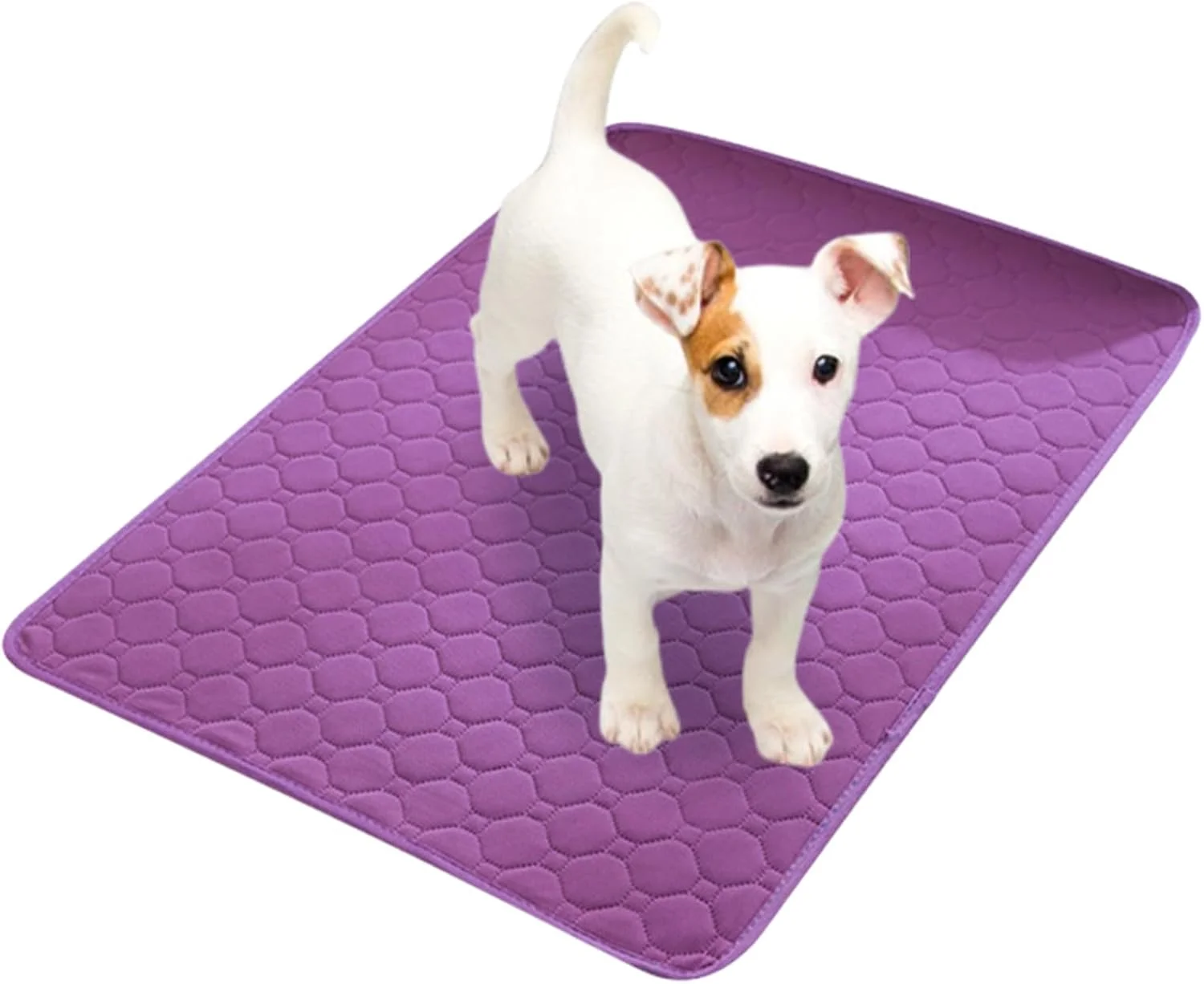 پدهای مخصوص سگ، پدهای ادرار قابل شستشو و استفاده مجدد برای سگ ها - لوازم حیوانات خانگی ضد نشت، زیراندازهای زایمان ضد لغزش برای همه نژادها، آموزش خانگی توله سگ در داخل خانه