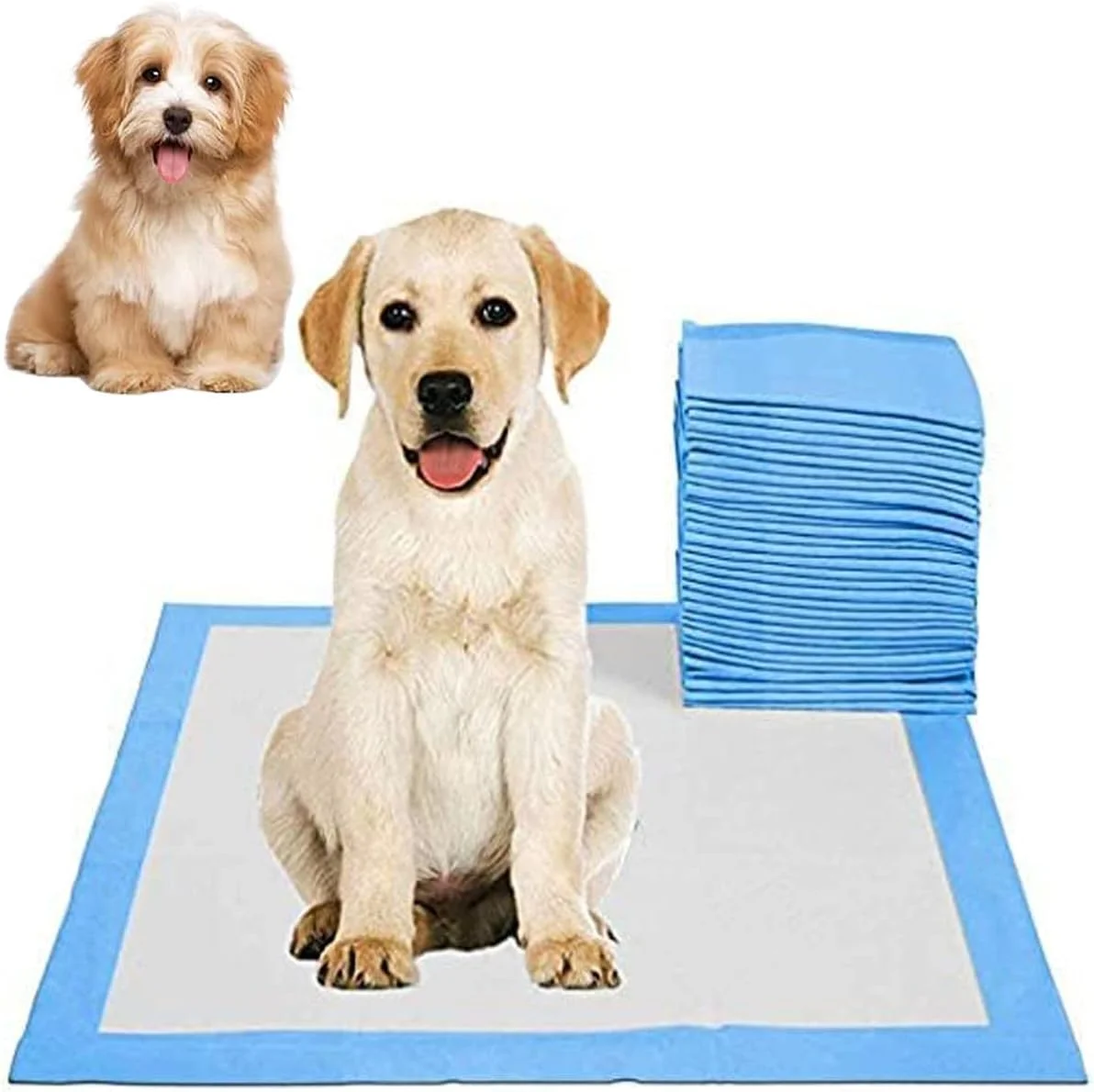 پدهای جاذب یکبار مصرف DLMAONN، خشک شونده سریع و ضد نشت برای آموزش دستشویی حیوانات خانگی، 45x60 سانتی متر سایز متوسط - 50 عدد