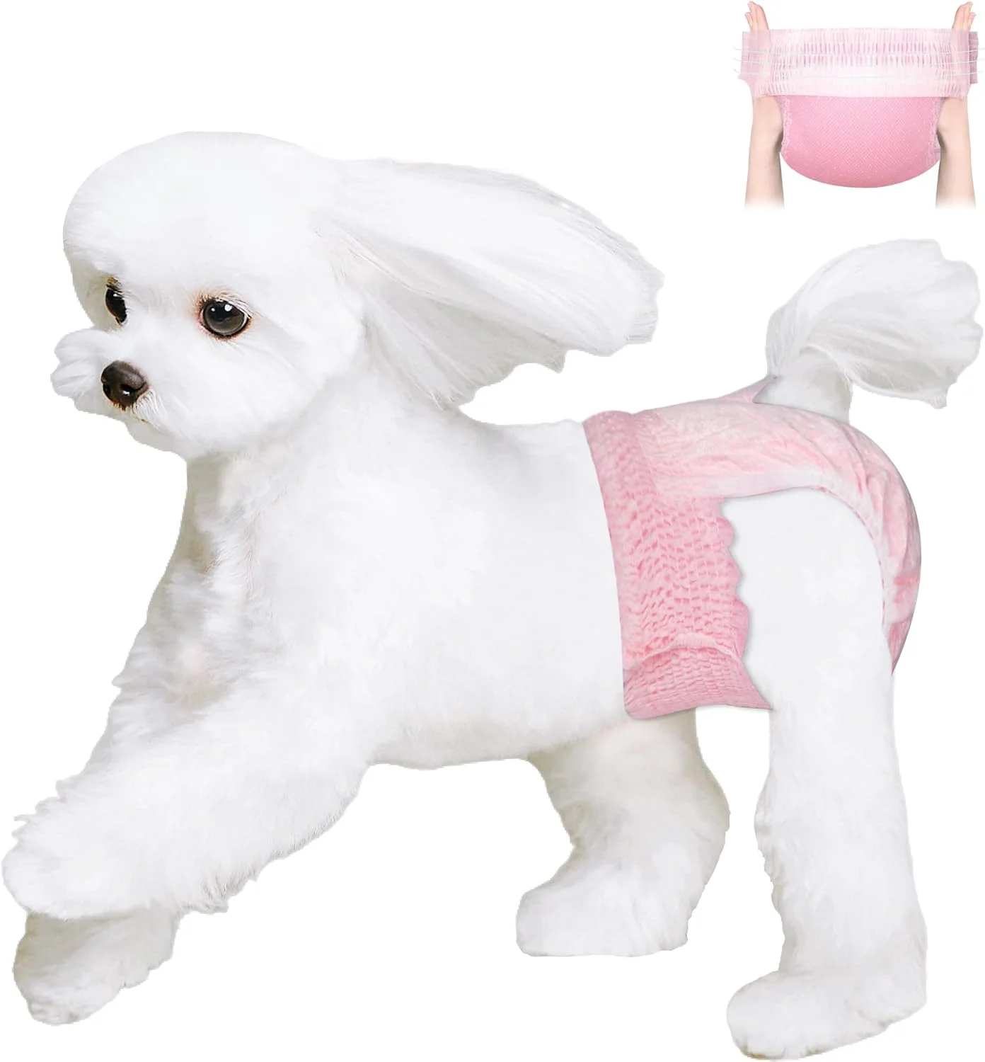 پوشک سگ یکبار مصرف ماده، پوشک سگ کشسان با پوشش کامل کمر، پوشک توله سگ ماده فوق العاده جاذب و ضد نشت برای سگ در دوره فحلی، ادرار هیجانی، بی اختیاری، آموزش، سایز XL، بسته 10 عددی