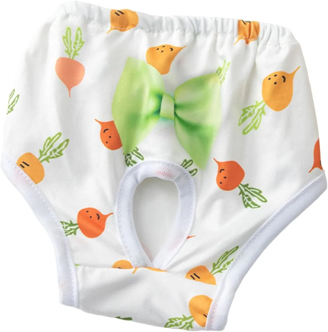 لباس زیر سگ DIDILLX، شورت تنفسی برای سگ های ماده، شورت قابل شستشو و استفاده مجدد