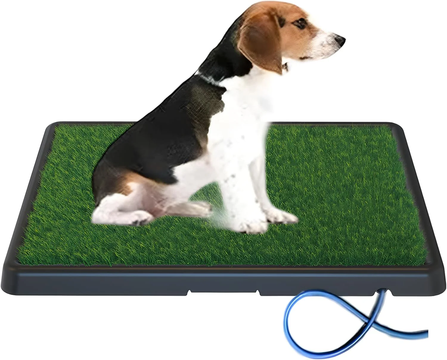 توالت مخصوص حیوانات خانگی، چمن مخصوص سگ توالت مخصوص حیوانات خانگی، چمن مخصوص سگ