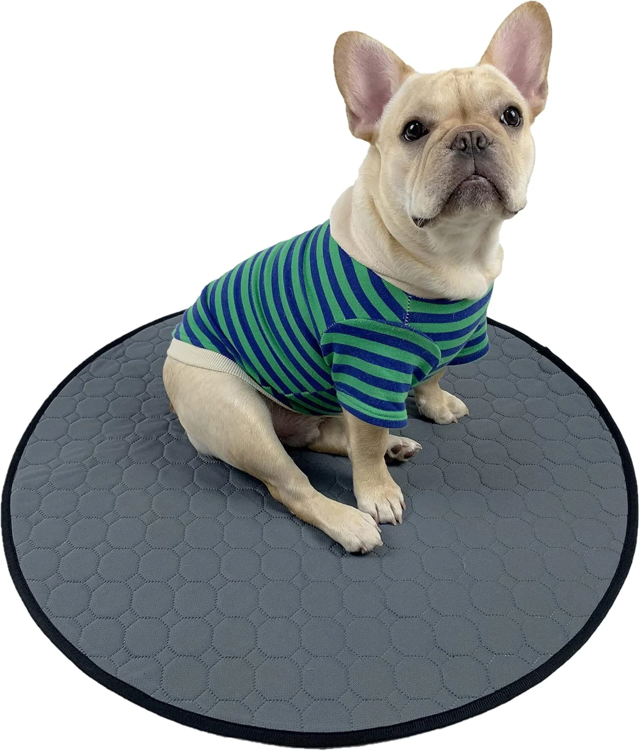 پدهای ادرار شوی برای سگ، پدهای توله سگ ضد آب قابل استفاده مجدد، پدهای زایمان، پدهای ادرار با جذب سریع برای سگ، گربه، خوکچه هندی، استفاده در پارک بازی، جعبه (گرد، L-35''x35'')