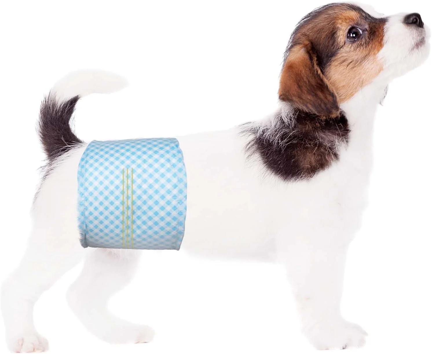 پوشک سگ نر سایز کوچک (دور کمر 30-48 سانتی متر) فوق العاده جاذب - 10 عدد پوشک سگ نر یکبار مصرف - پوشک سگ با نشانگر رطوبت - دورپیچ سگ نر قابل تنظیم - ایده آل برای بی اختیاری ادرار/آموزش