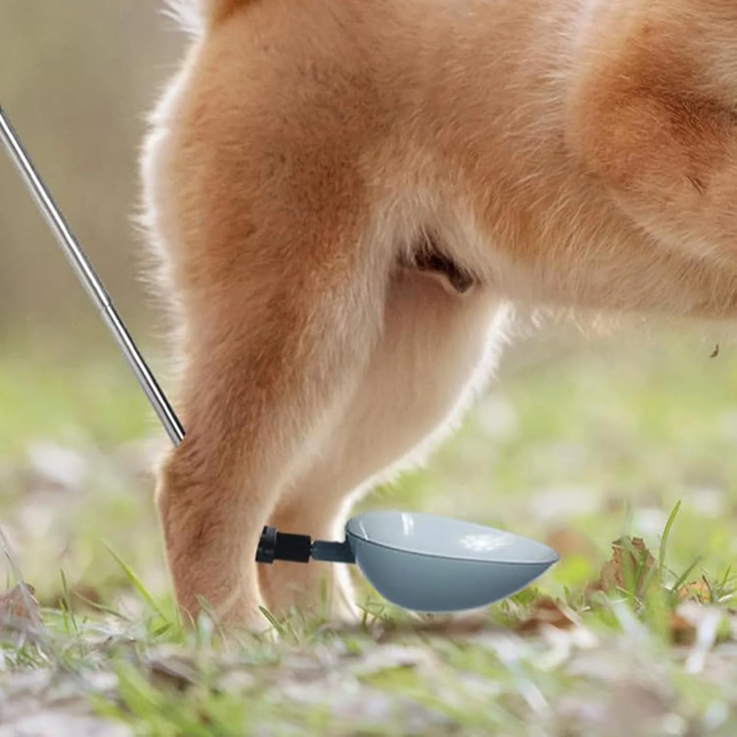 جمع کننده ادرار سگ، جمع کننده تلسکوپی نمونه ادرار | دستگاه قابل حمل با زاویه قابل تنظیم برای قفس، مبلمان حیوانات خانگی، فرش، کف خانه، حیاط