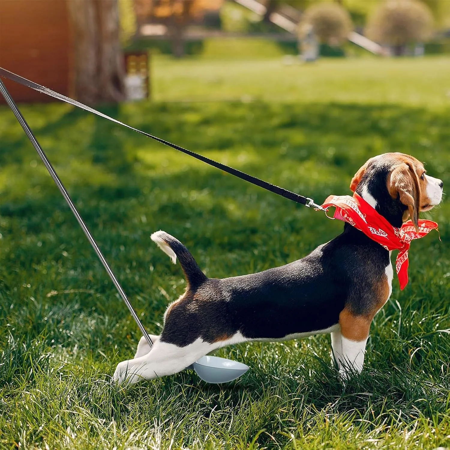 مجموعه کننده ادرار سگ | ظروف جمع آوری ادرار با دسته تلسکوپی - نگهدارنده قابل حمل برای خانه، حیاط، قفس و فرش