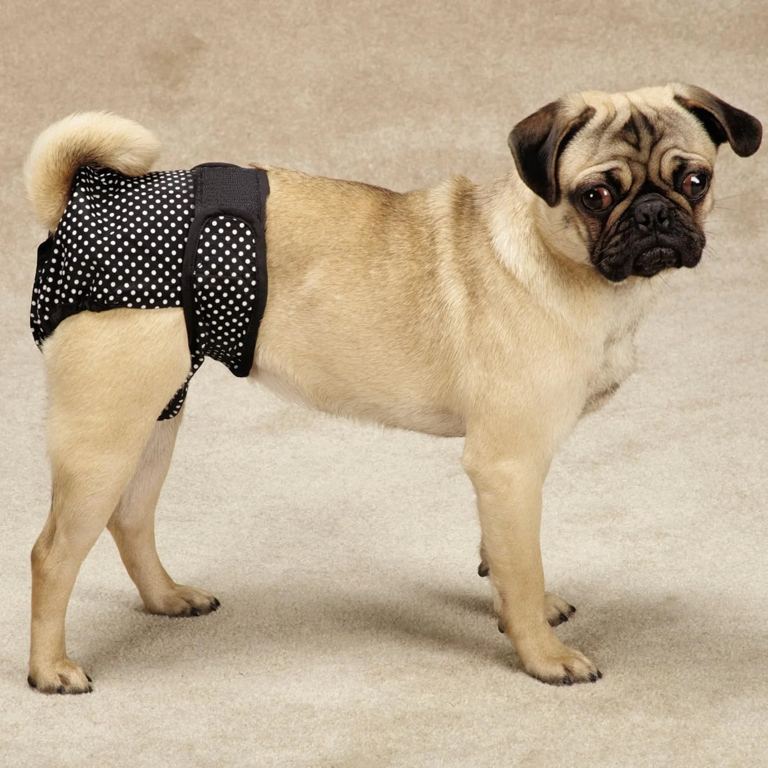 روپوش محافظ رطوبت و لکه سگ ClearQuest، بسته 2 عددی