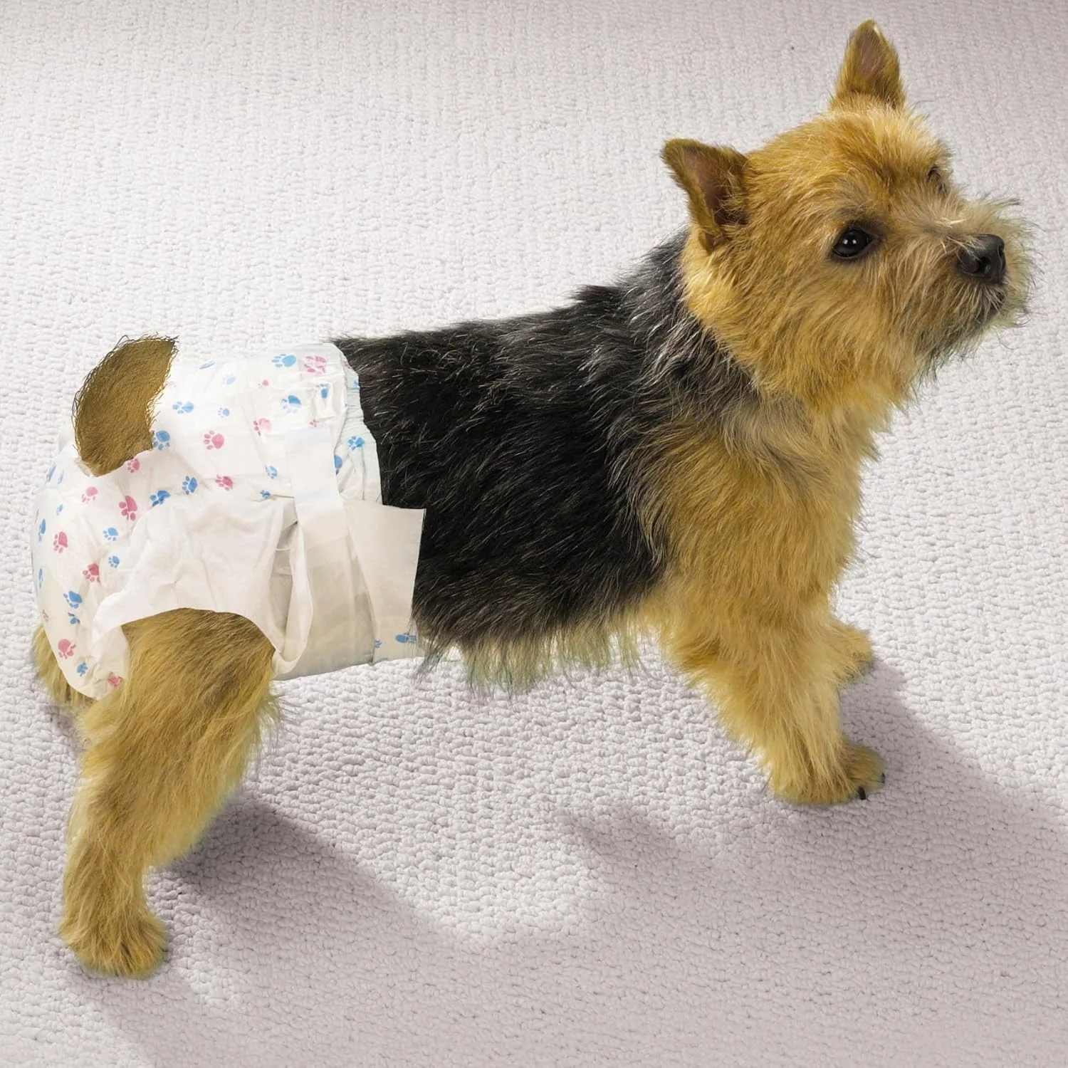 پوشک سگ یکبار مصرف ClearQuest، بسته 10 عددی، ضد نشت، فوق العاده جاذب - خیلی بزرگ