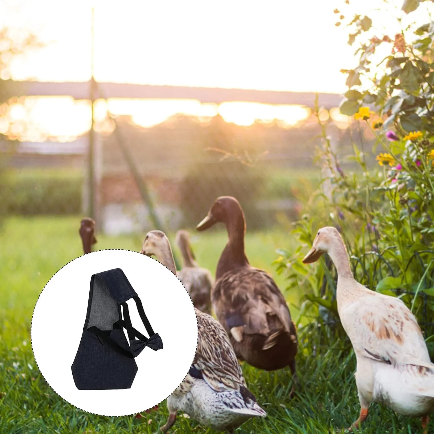 پوشک پارچه ای طیور قابل استفاده مجدد برای حیوانات خانگی، غاز، اردک، مرغ، با طرح پاپیون، مناسب برای مزرعه - سرمه ای