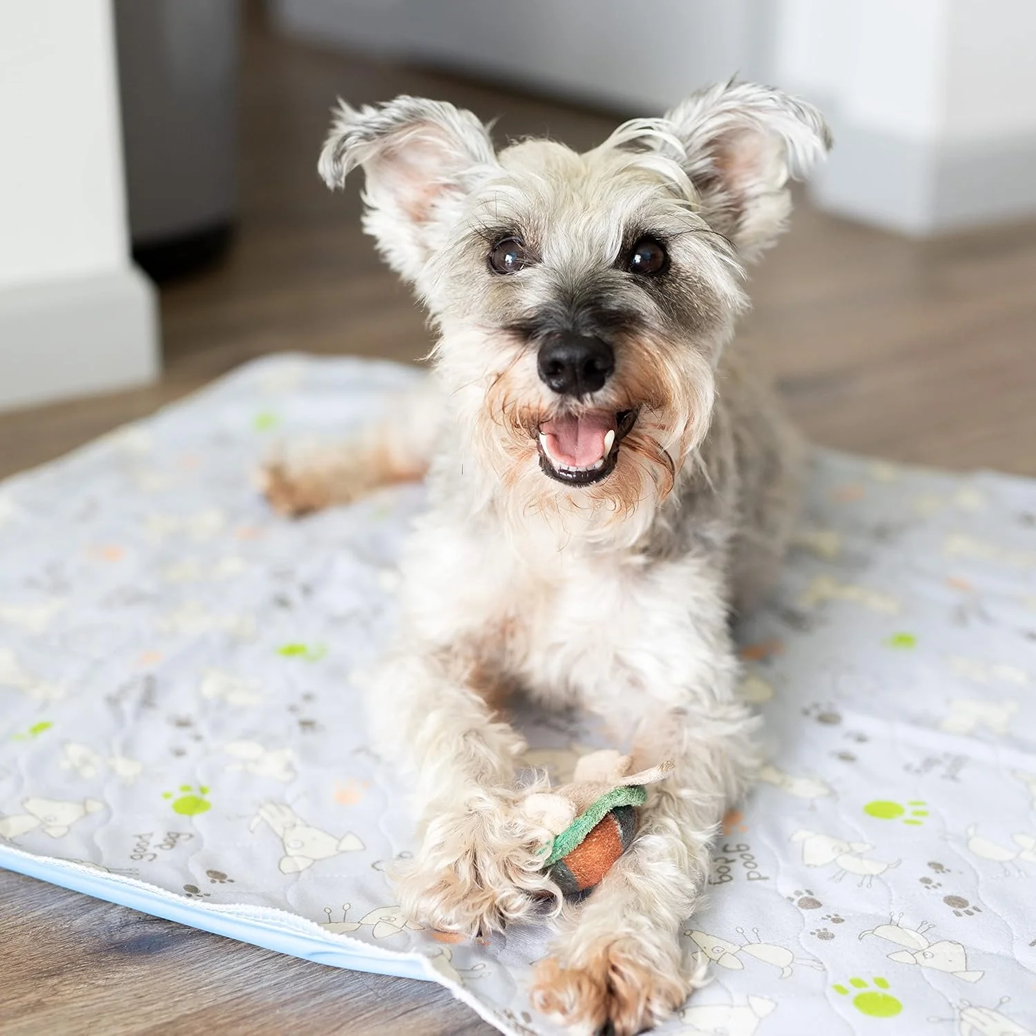 پد ادرار سگ قابل شستشو (بسته 2 عددی) بزرگ خاکستری | لوازم آموزش توله سگ و حیوانات خانگی قابل استفاده مجدد | زیراندازهای جاذب | پدهای قابل شستشو برای زایمان، آموزش دستشویی و استفاده در باکس