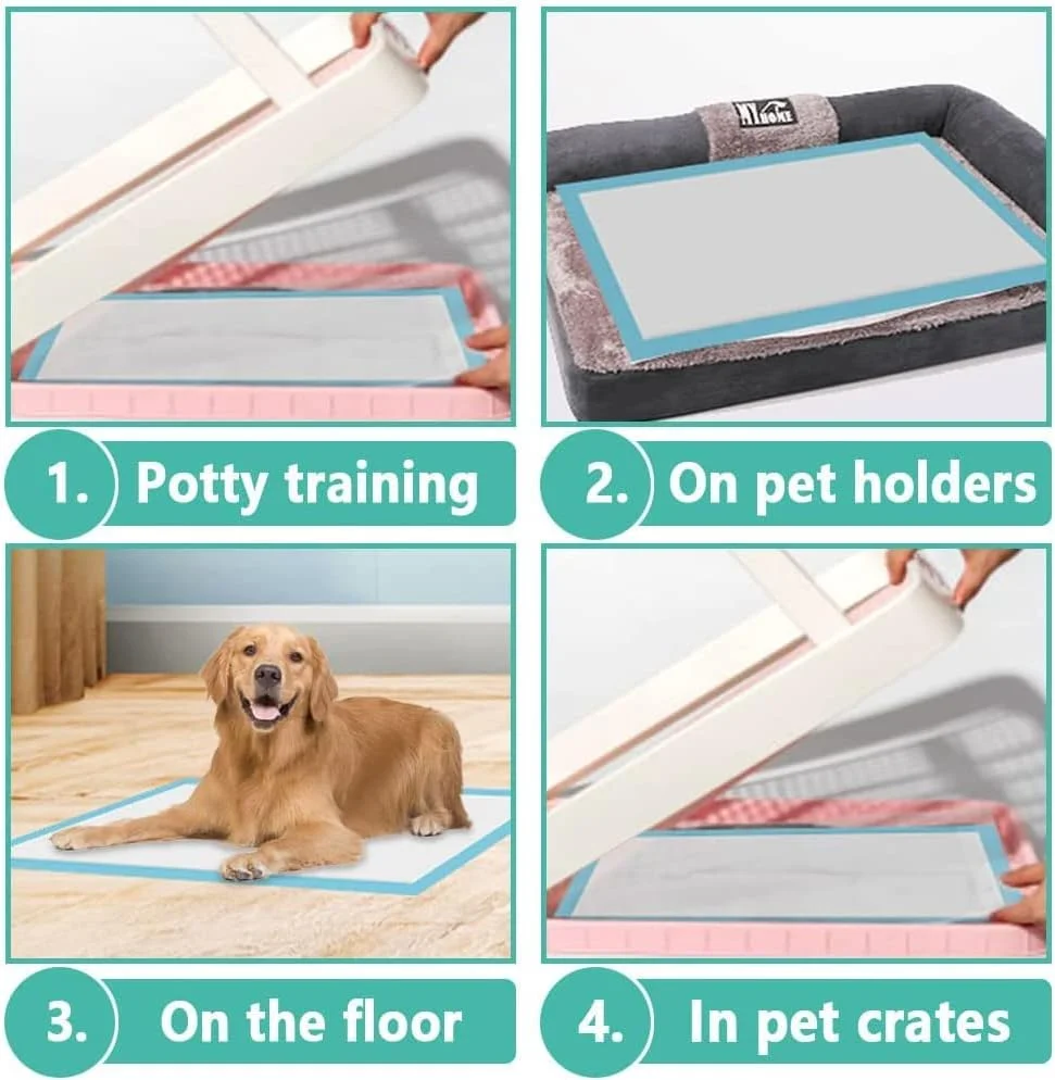 پدهای آموزشی حیوانات خانگی Cherry Medical Supply، بسته 70 عددی در 7 بسته، 60 سانتی متر در 90 سانتی متر، سایز خیلی بزرگ، پدهای فوق العاده جاذب ادرار برای سگ ها، پدهای ضد نشت برای آموزش دستشویی توله سگ ها، گربه ها، خرگوش ها