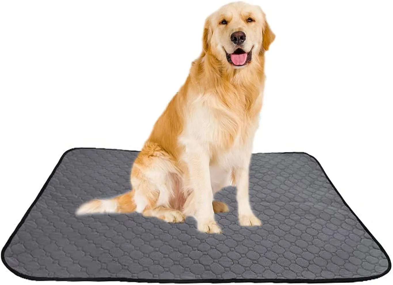 پد ادرار قابل شستشوی حیوانات خانگی CHAVA، پد ضد آب و قابل استفاده مجدد با جذب سریع برای سگ، گربه، توله سگ، بچه گربه، آموزش ادرار، زیرانداز، سایز 50 * 40 سانتی متر (19.69 * 15.75 اینچ)، خاکستری تیره