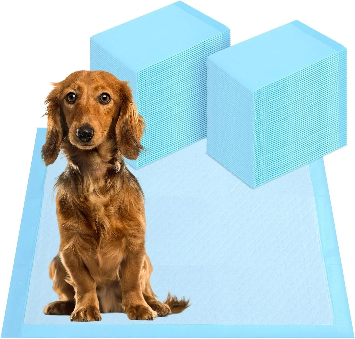 پدهای ادرار سگ بسیار بزرگ سایز 60x90 سانتی متر، بسته 20 عددی پد با کربن فعال برای کنترل بو، پدهای آموزش ادرار 6 لایه ضد نشت برای باکس، لانه و آموزش در خانه (آبی)