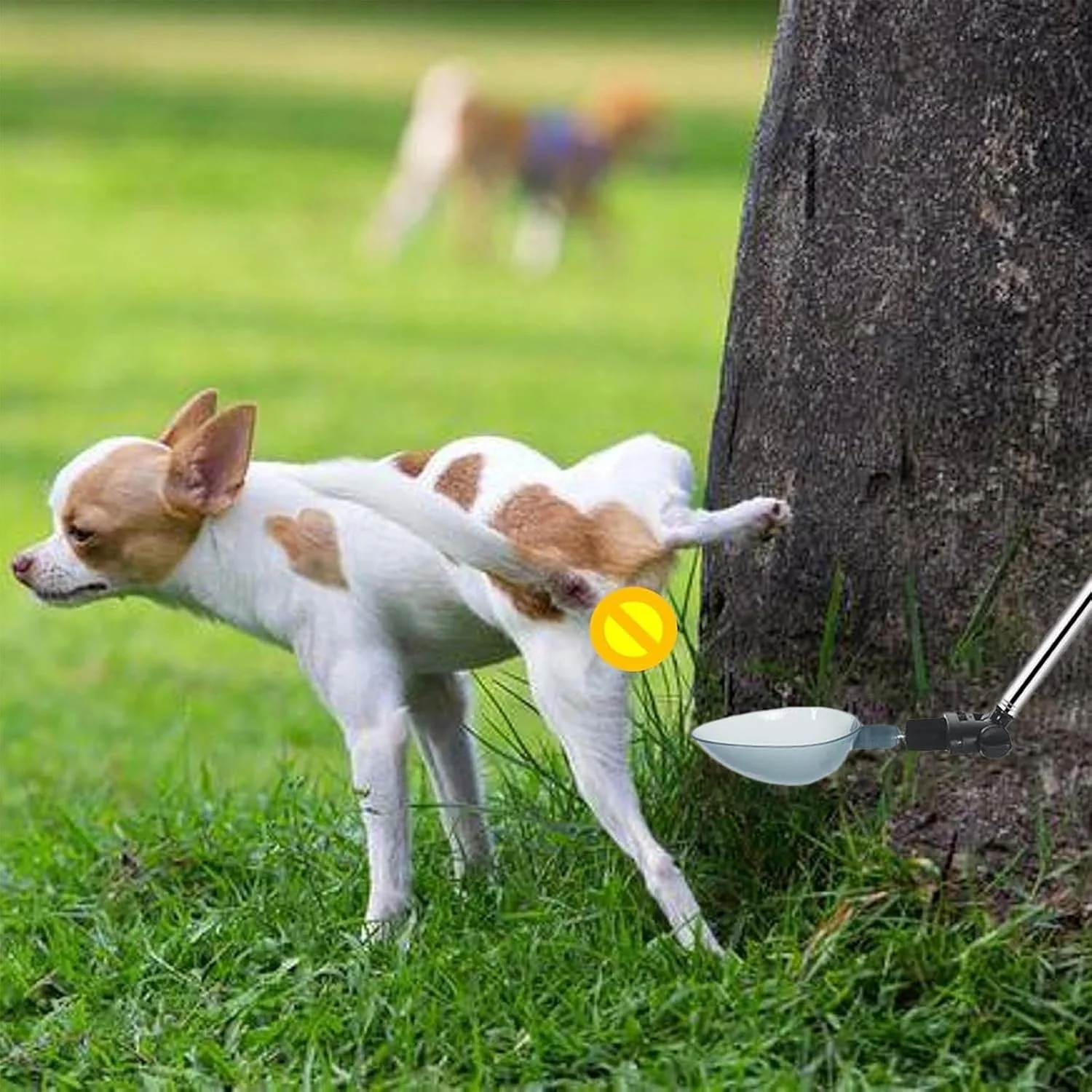 ظرف جمع آوری مدفوع سگ | ظروف جمع آوری ادرار با دسته تلسکوپی - دستگاه قابل حمل با زاویه قابل تنظیم برای قفس، مبلمان حیوانات خانگی، فرش، کف خانه و حیاط