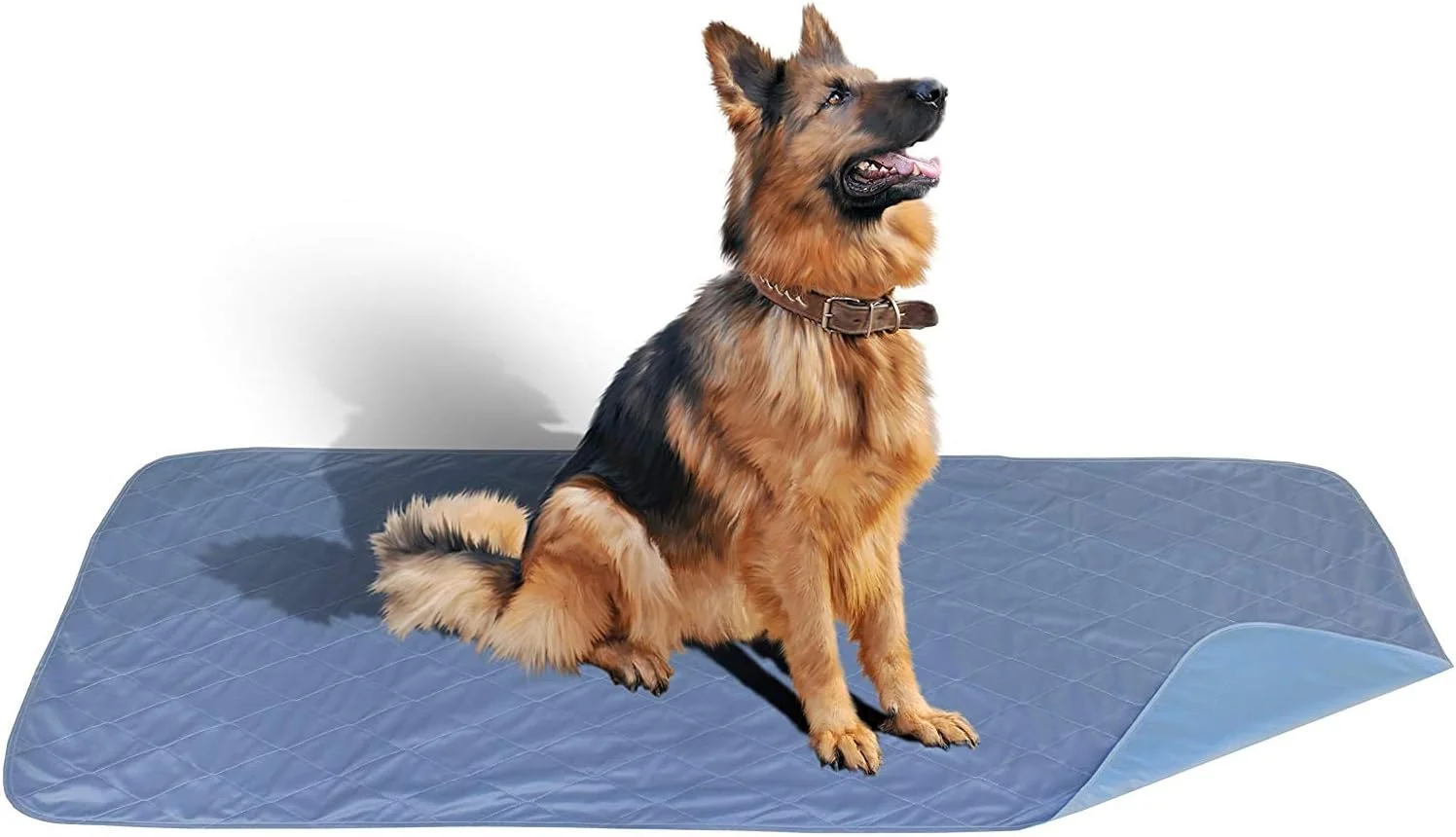 پد جاذب ادرار بزرگ سایز Careoutfit، سایز خیلی بزرگ 91 در 182 سانتی متر، ضد لک، جذب سریع، ضد آب، قابل استفاده مجدد، لایه دار، قابل شستشو، مناسب برای آموزش ادرار سگ/توله سگ، مسافرت