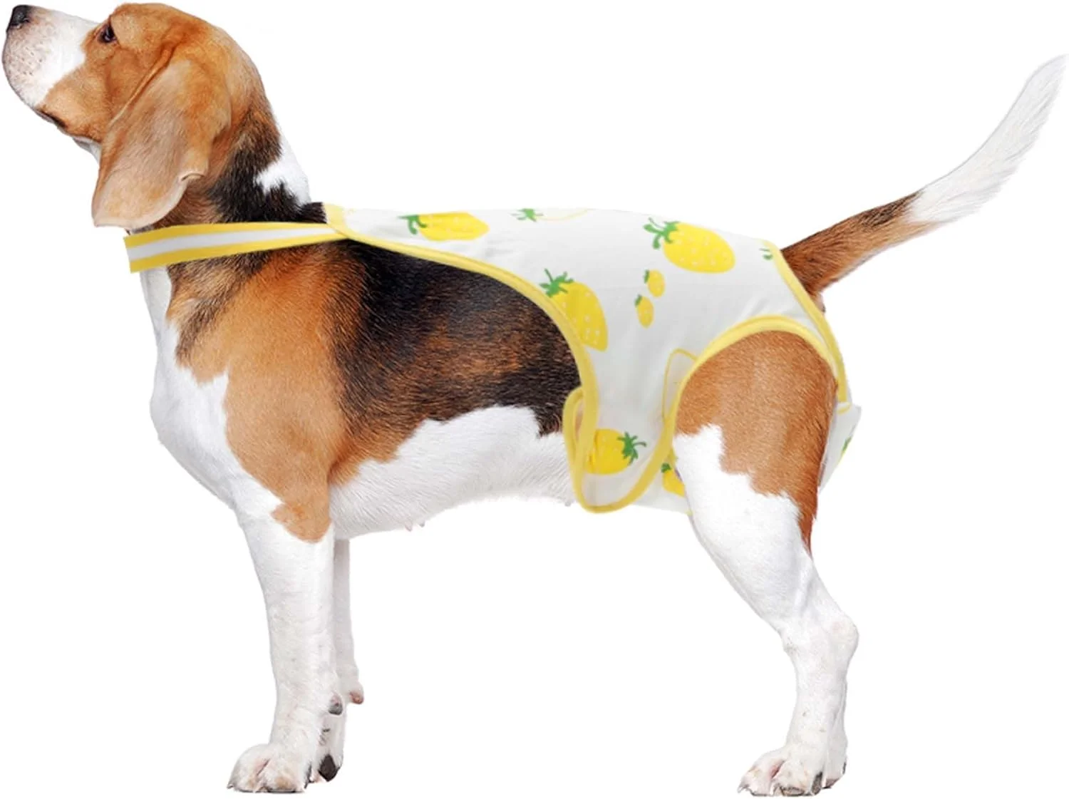 شورت بهداشتی سگ CAPASTEC برای سگ های ماده، شورت بهداشتی توله سگ، لباس زیر حیوانات خانگی، شلوار قابل شستشو و استفاده مجدد با بندهای قابل تنظیم، زرد و سفید، سایز بزرگ