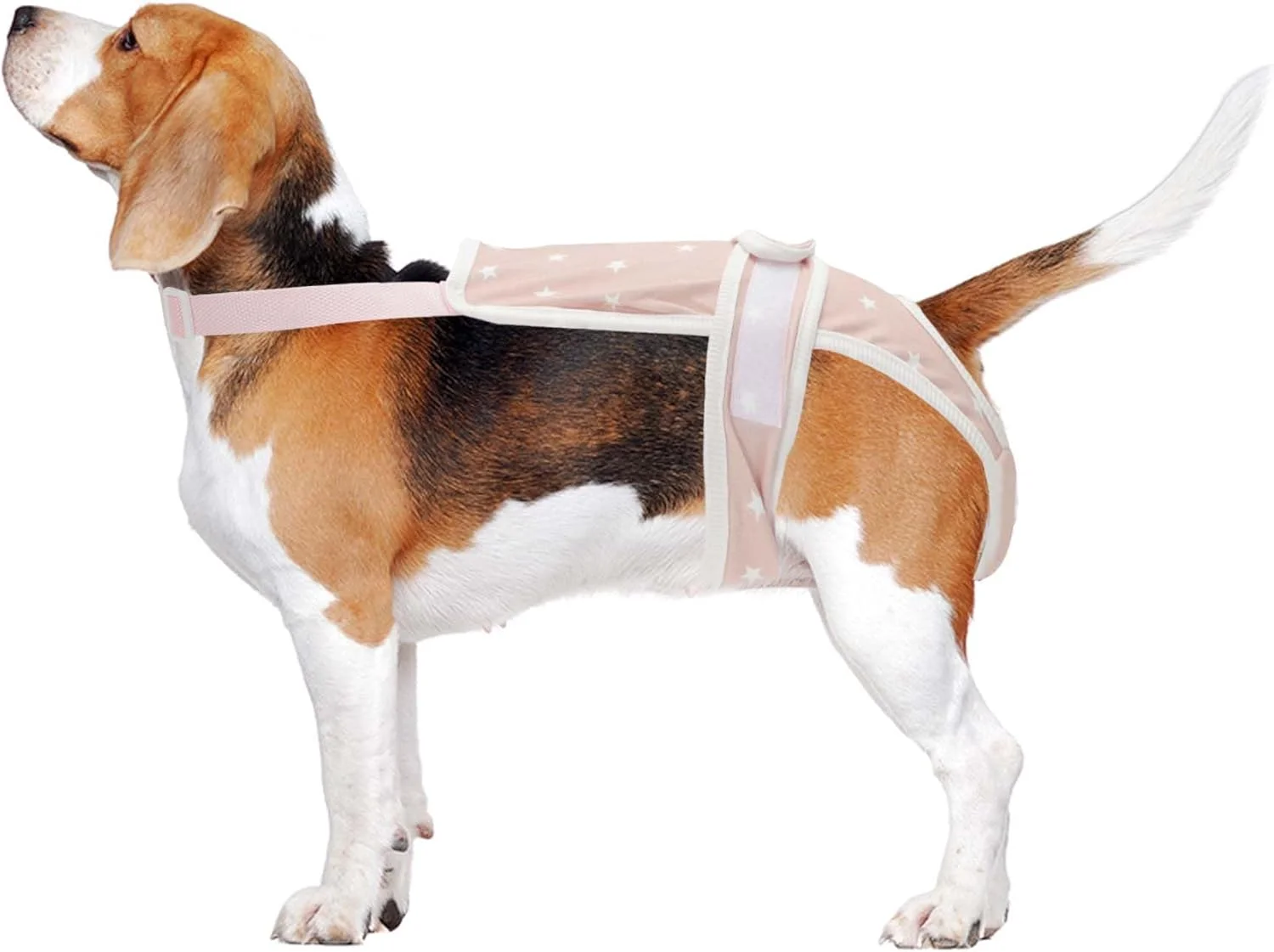 شورت بهداشتی سگ CAPASTEC برای سگ های ماده، شورت فیزیولوژیکی توله سگ، لباس زیر حیوانات، شلوار قابل شستشو و استفاده مجدد با بندهای قابل تنظیم - صورتی - سایز بزرگ