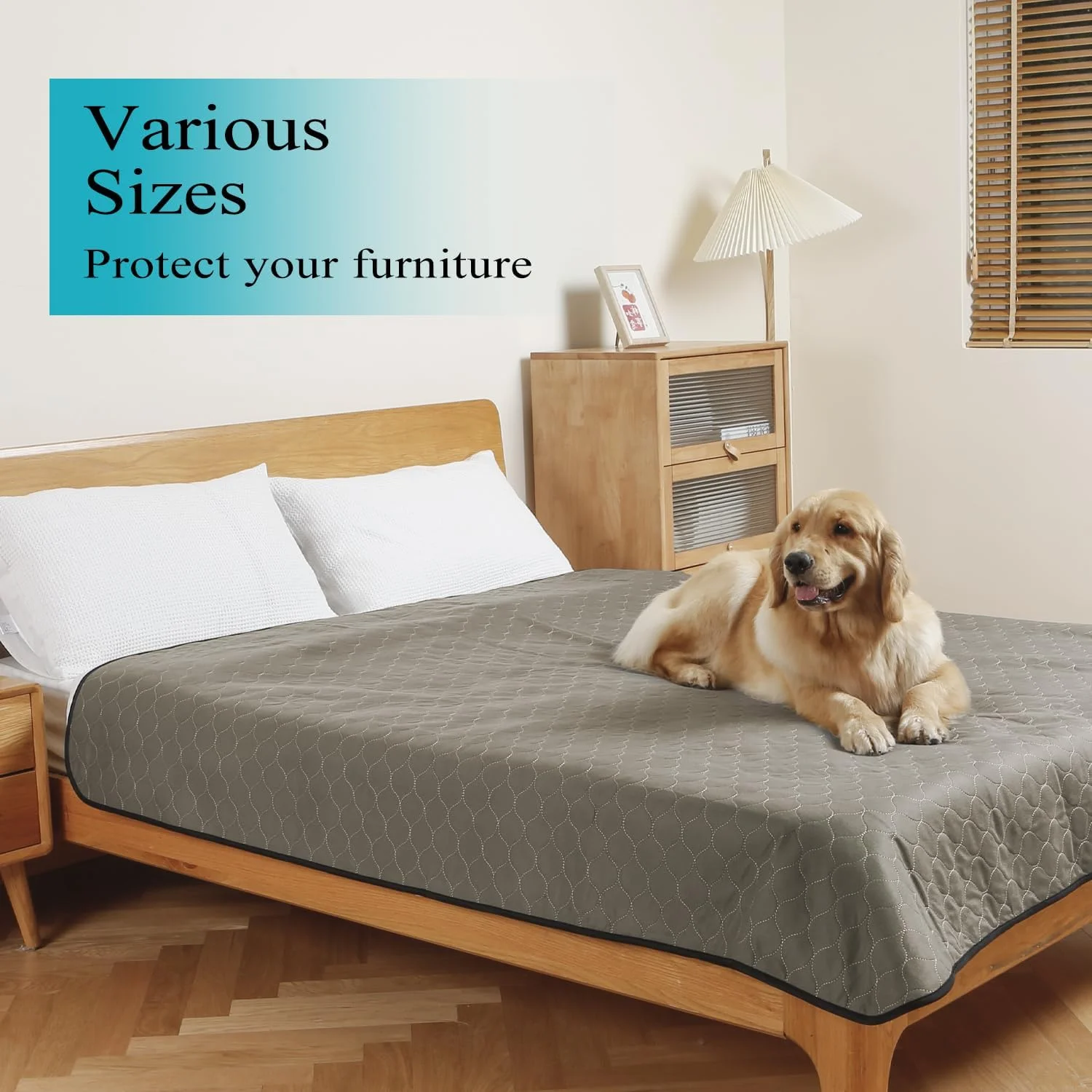 پدهای ادرار شوی سگ، 208x208 سانتی متر، پدهای توله سگ بزرگ قابل استفاده مجدد، پدهای آموزش سگ با خشک شدن سریع، پدهای ادرار ضد لغزش سگ، پدهای زایمان، پد توله سگ، 1 عدد، قهوه ای پدهای ادرار شوی سگ، 208x208 سانتی متر، پدهای توله سگ بزرگ قابل استفاده مجدد، پدهای آموزش سگ با خشک شدن سریع، پدهای ادرار ضد لغزش سگ، پدهای زایمان، پد توله سگ، 1 عدد، قهوه ای