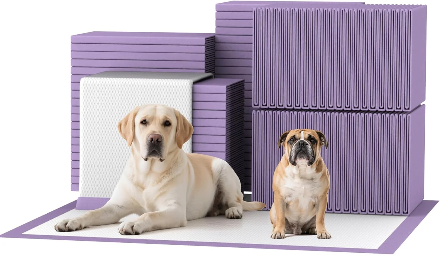 پدهای آموزشی سگ Bulubaky با رایحه اسطوخودوس، ضخیم و 6 لایه، بسیار جاذب، سایز بزرگ 76x91 سانتی متر، پدهای ادرار سگ یکبار مصرف، 45 عدد