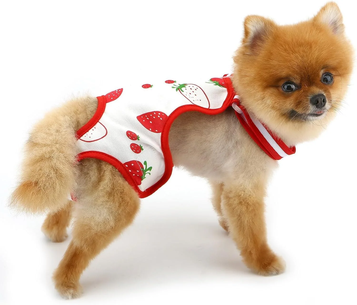 شورت بهداشتی سگ با طرح توت فرنگی، بند قابل تنظیم، قابل شستشو و استفاده مجدد، لباس زیر سگ، لباس سرهمی برای سگ های ماده