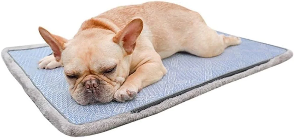 تشک خنک کننده تابستانی سگ، تخت دو طرفه یخی گربه، تشک تنفسی حیوانات خانگی، تخت سگ مسافرتی قابل حمل، لوازم خواب نرم حیوانات خانگی Jinlyp (سایز: XL) تشک خنک کننده تابستانی سگ، تخت دو طرفه یخی گربه، تشک تنفسی حیوانات خانگی، تخت سگ مسافرتی قابل حمل، لوازم خواب نرم حیوانات خانگی Jinlyp (سایز: XL)