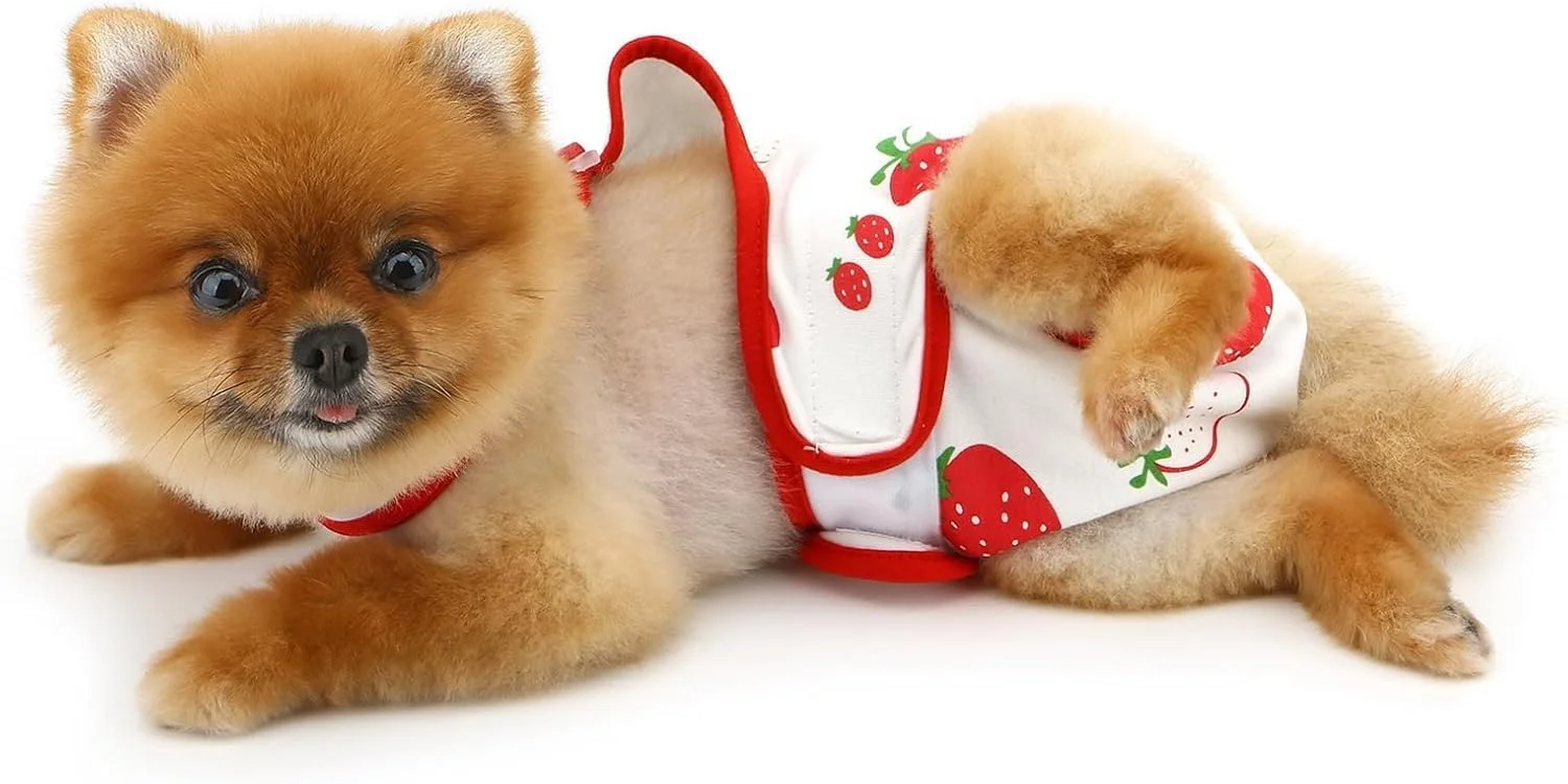 شورت بهداشتی سگ با طرح توت فرنگی، بند قابل تنظیم، قابل شستشو و استفاده مجدد، لباس زیر سگ، لباس سرهمی برای سگ های ماده