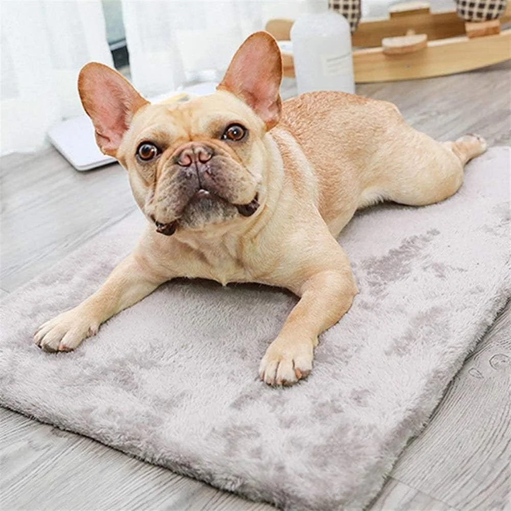 تشک خنک کننده تابستانی سگ، تخت دو طرفه یخی گربه، تشک تنفسی حیوانات خانگی، تخت سگ مسافرتی قابل حمل، لوازم خواب نرم حیوانات خانگی Jinlyp (سایز: XL)