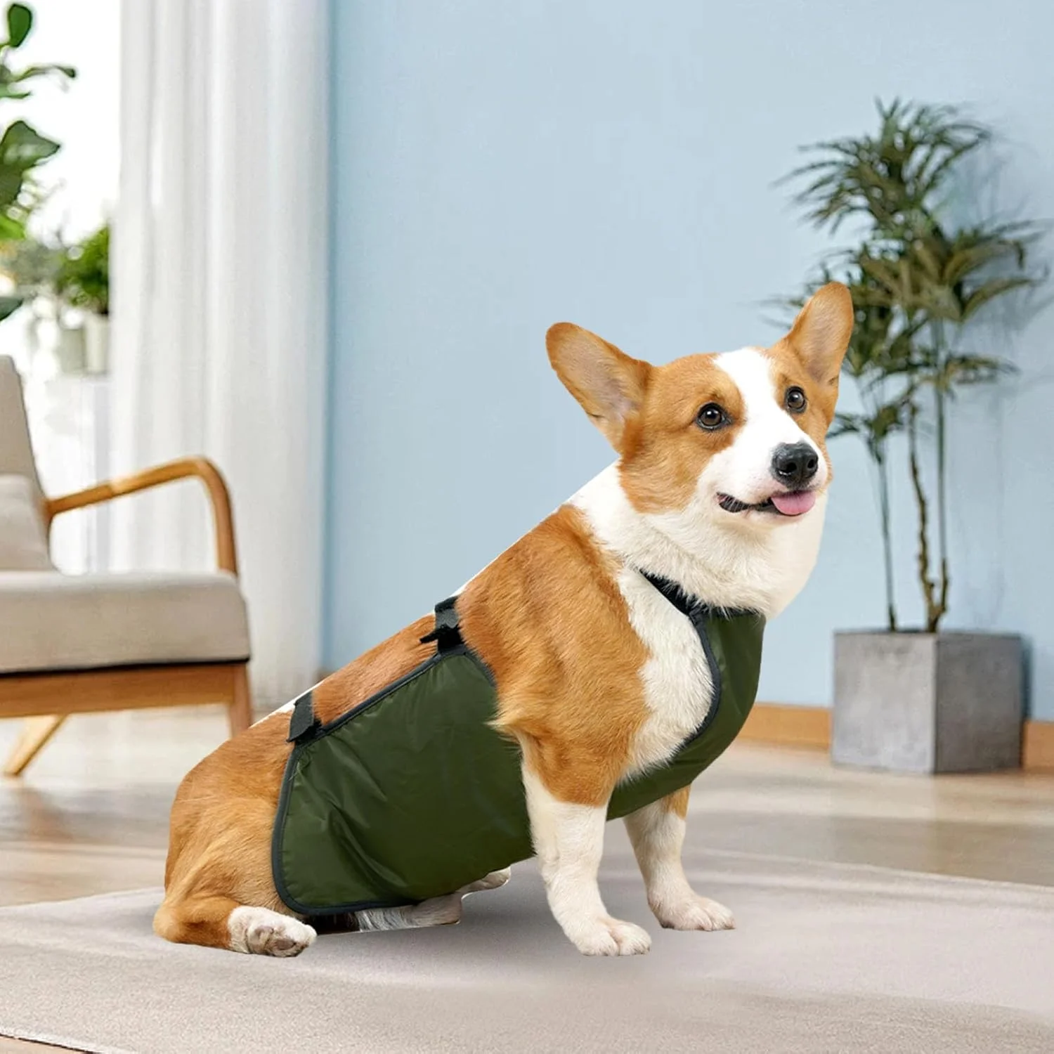 محافظ شکم سگ بزرگ، تنفسی، آسان برای سگ، محافظ سینه برای حیوانات خانگی، محافظ شکم سگ