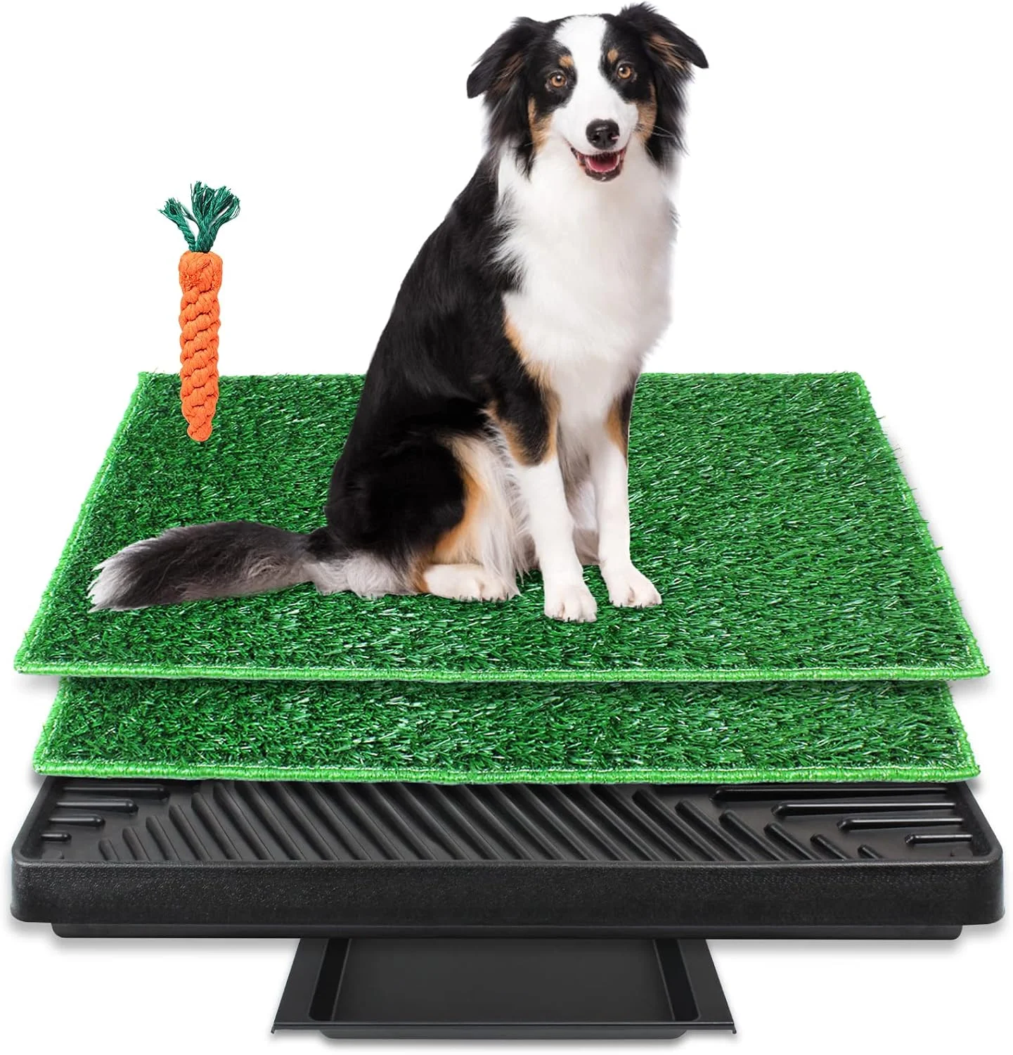 پد چمن سگ BRIAN & DANY همراه با سینی، جعبه بستر بزرگ سگ با 2 چمن مصنوعی ادرار (50 در 63 سانتی متر) پد چمن سگ BRIAN & DANY همراه با سینی، جعبه بستر بزرگ سگ با 2 چمن مصنوعی ادرار (50 در 63 سانتی متر)