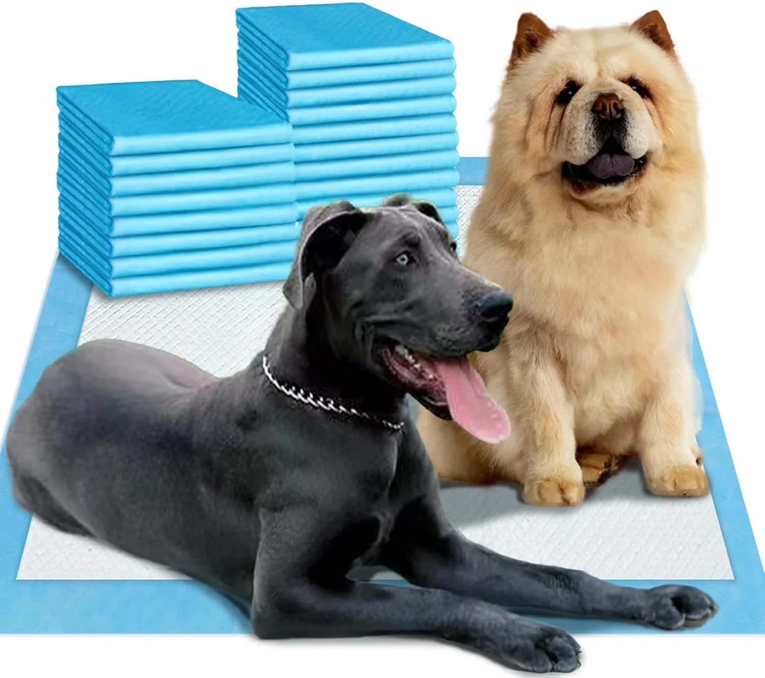 پدهای ادرار سگ بزرگ باسکیوت، سایز بزرگ 137x94 سانتی متر، پدهای ادرار یکبار مصرف سگ با جذب بالا و خشک شدن سریع، پدهای ضخیم و مقاوم با لایه پشتی ضد نشت، 50 عدد