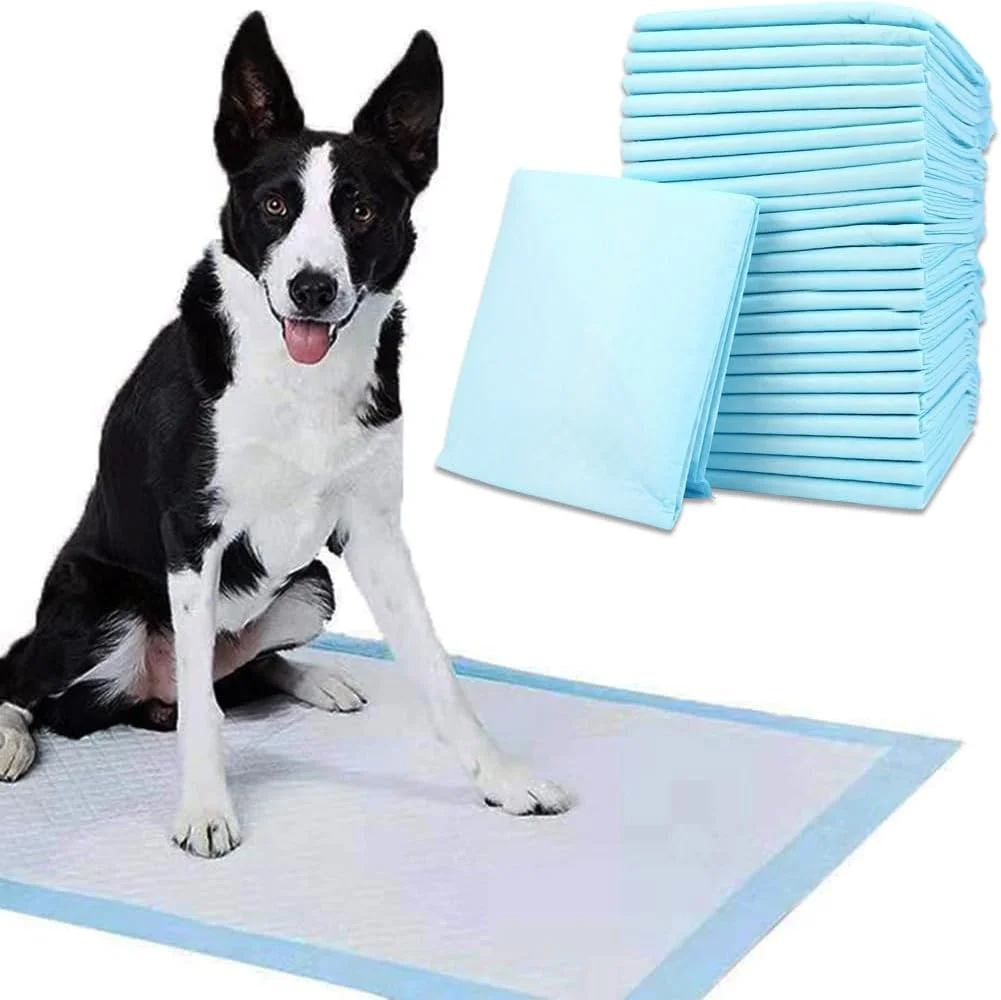 پدهای آموزشی سگ Bodyplus، بسته 50 عددی، 60x60 سانتی متر - پد ادرار سگ بزرگ با هسته جاذب 5 لایه ضد نشت - پدهای آموزش ادرار برای آموزش سگ در داخل خانه
