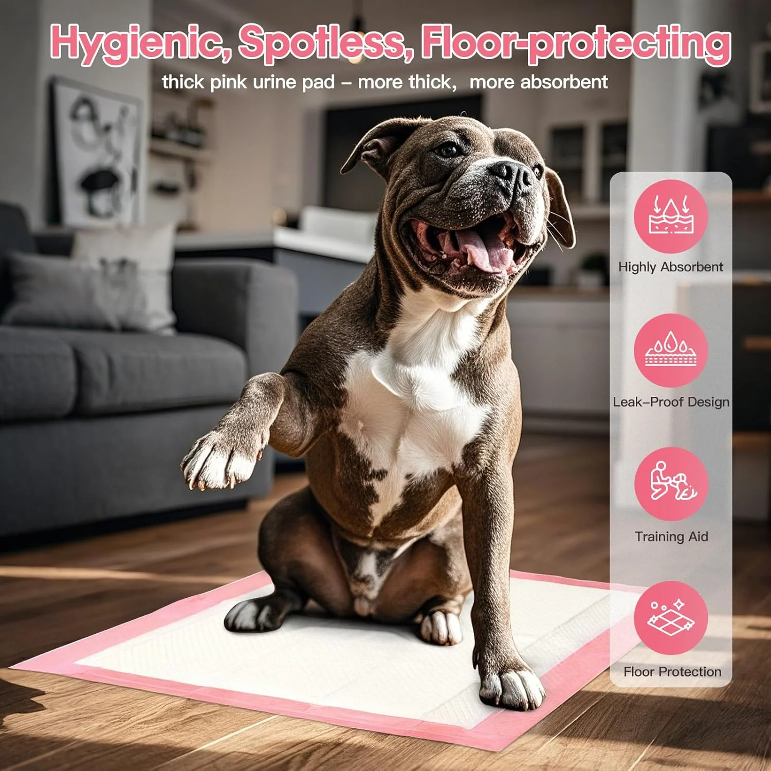 پدهای آموزشی یکبار مصرف سگ BinetGo، ۱۳ در ۱۸ اینچ - بسته ۱۰۰ عددی | پدهای ممتاز آموزش ادرار سگ، زیراندازهای بسیار جاذب برای بی‌اختیاری ادرار حیوانات خانگی (بزرگ (۲۴ در ۲۴ اینچ - ۴۰ عدد))