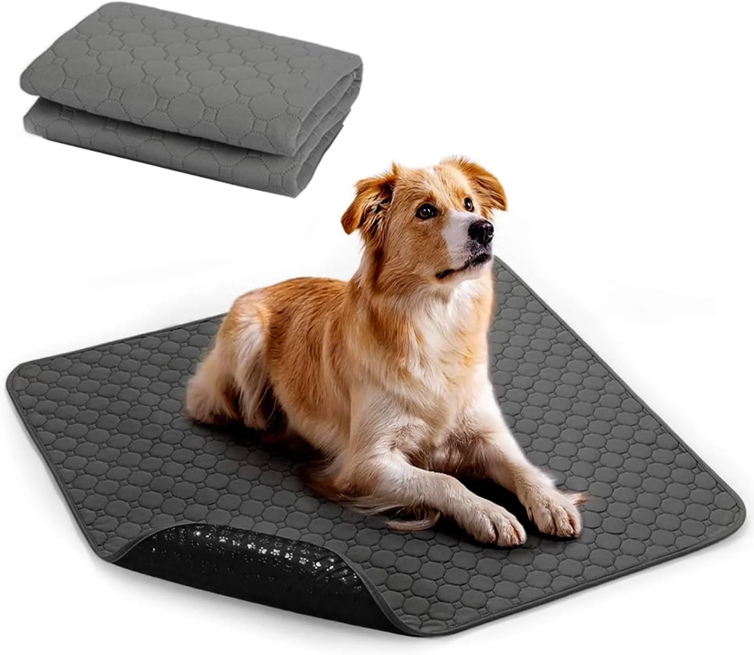 پدهای ادرار شوی سگ | پدهای ادرار سگ قابل شستشو | 70×50 سانتی متر پدهای ادرار قابل استفاده مجدد برای سگ | پد زایمان تنفسی ضد آب 4 لایه برای سگ و گربه | پدهای آموزشی زایمان فوق العاده جاذب