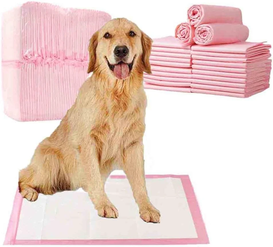 پد ادرار حیوانات خانگی BEONE بسته 40 عددی، پد ادرار ضخیم یکبار مصرف جاذب و خشک شونده سریع برای سگ و گربه، 60X60 سانتی متر، سایز L، صورتی (صورتی، 60x60 سانتی متر، بسته 40 عددی)