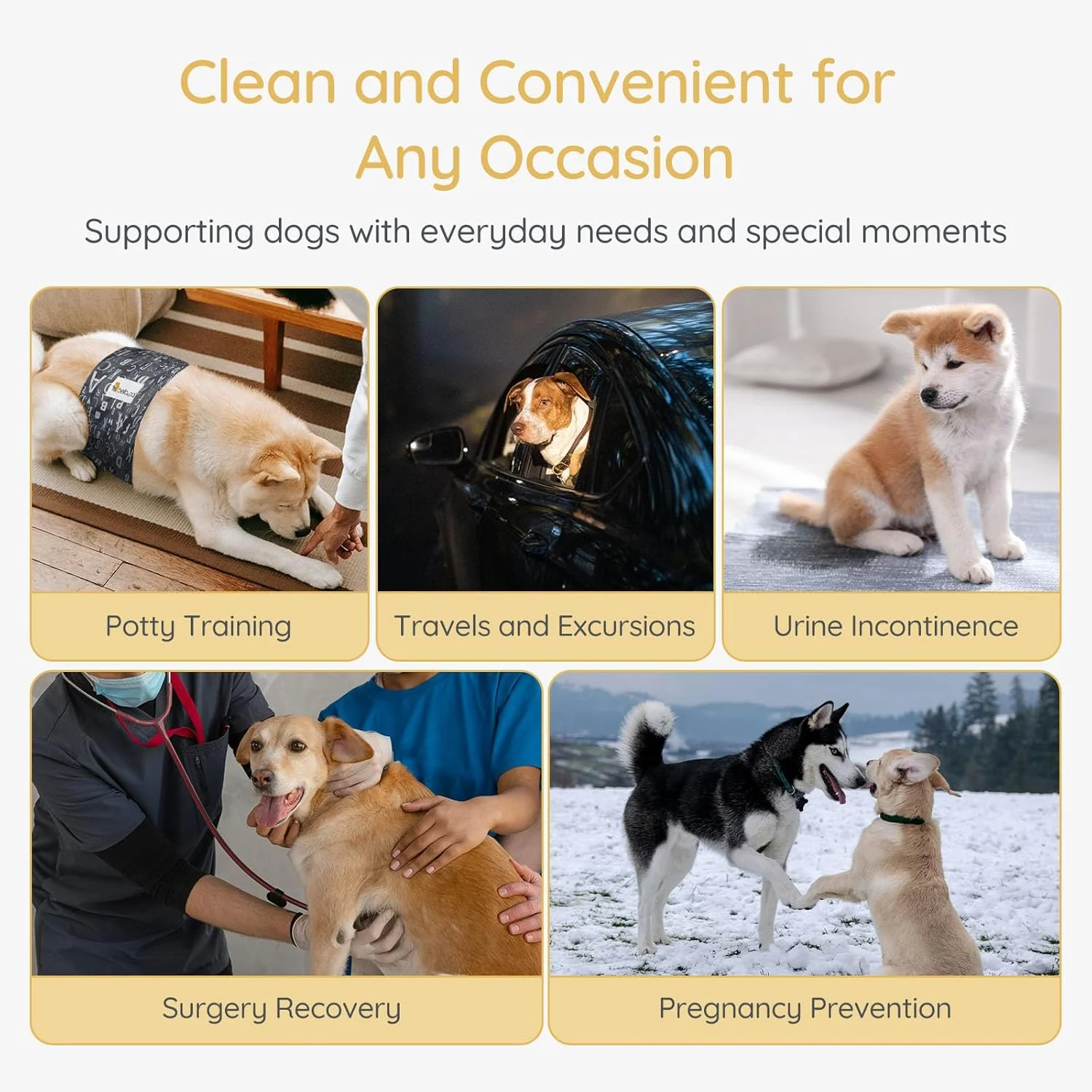 پوشک سگ نر BELLA & PAL، بسته 3 عددی، نوارهای شکمی قابل استفاده مجدد برای بی اختیاری، علامت گذاری سگ، ادرار هیجانی، قابل شستشو، سازگار با محیط زیست برای سگ های نر کوچک (XS، 27-33 سانتی متر)