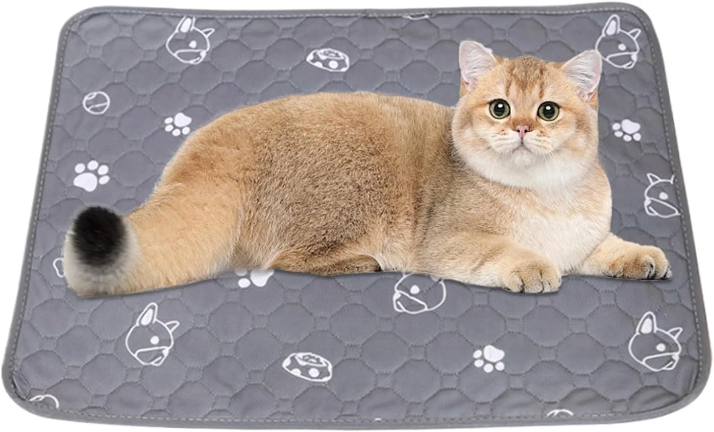 پدهای ادرار برای سگ ها | پدهای ادرار سگ، تشک بستر خرگوش، آسترهای فوق العاده جاذب قابل شستشو محافظ کف برای قفس حیوانات کوچک، باکس بستر داخلی، همستر، گربه، چینچیلا