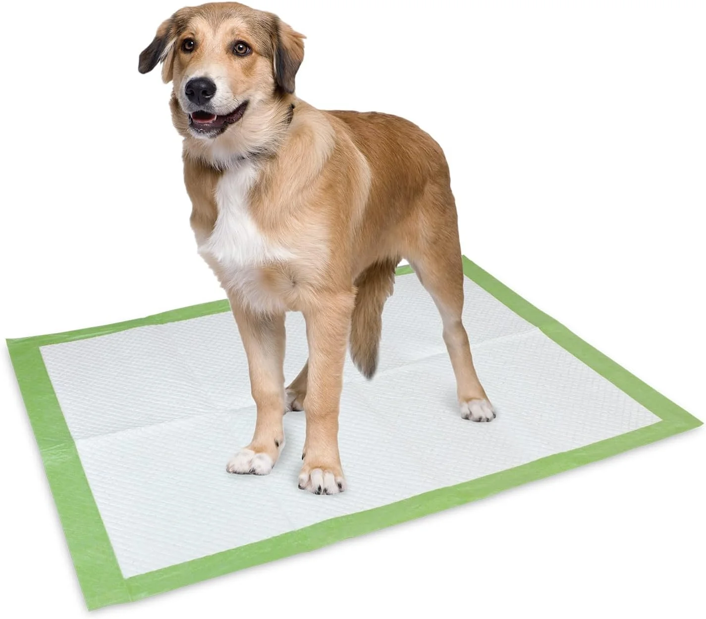 پدهای فوق جاذب سگ Arquivet - پدهای تجزیه پذیر - پدهای یکبار مصرف - زیرانداز بهداشتی سگ - بسته 14 عددی - 57 x 84 سانتی متر